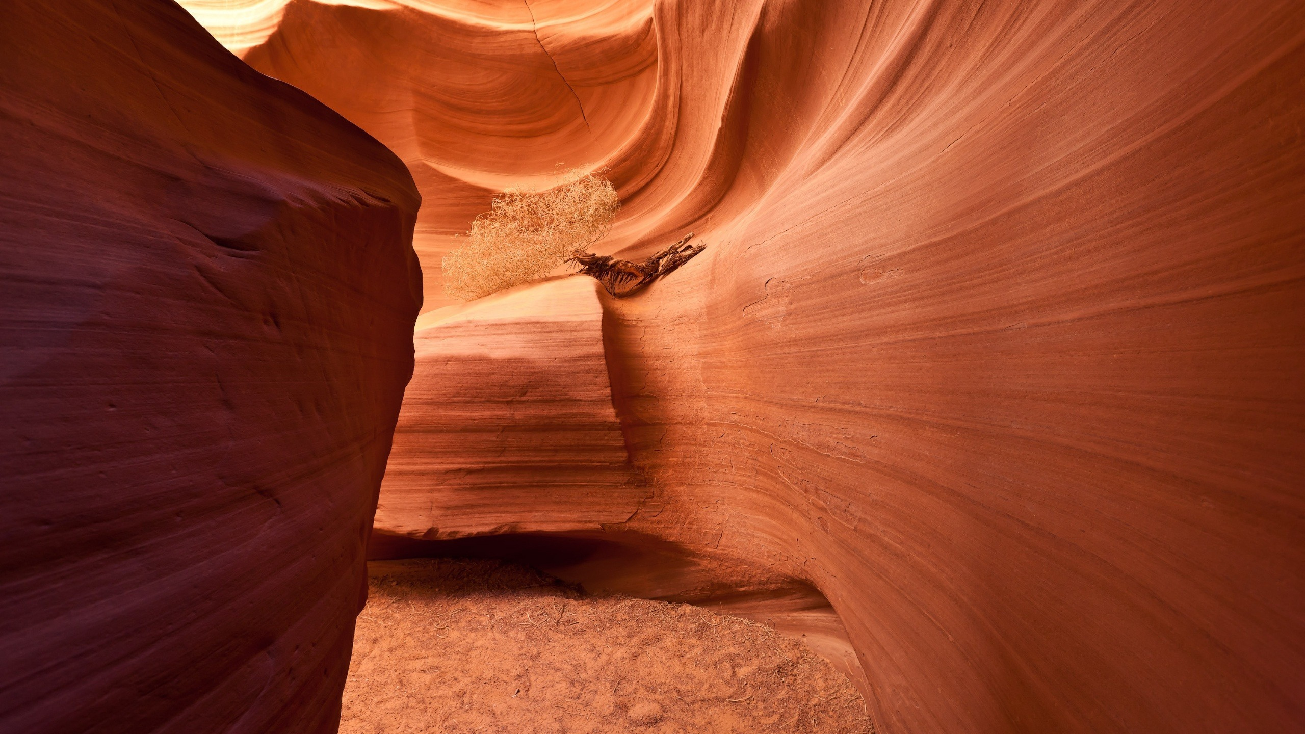 Brown Rock Formation During Daytime. Wallpaper in 2560x1440 Resolution