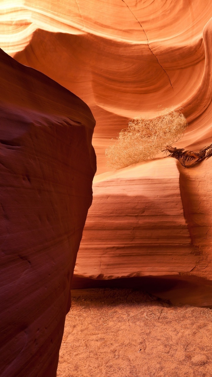 Brown Rock Formation During Daytime. Wallpaper in 720x1280 Resolution