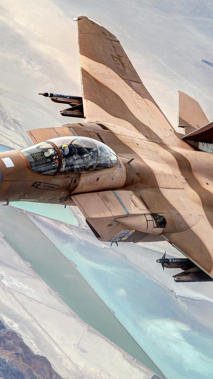 Avion de Chasse Marron et Gris. Wallpaper in 720x1280 Resolution