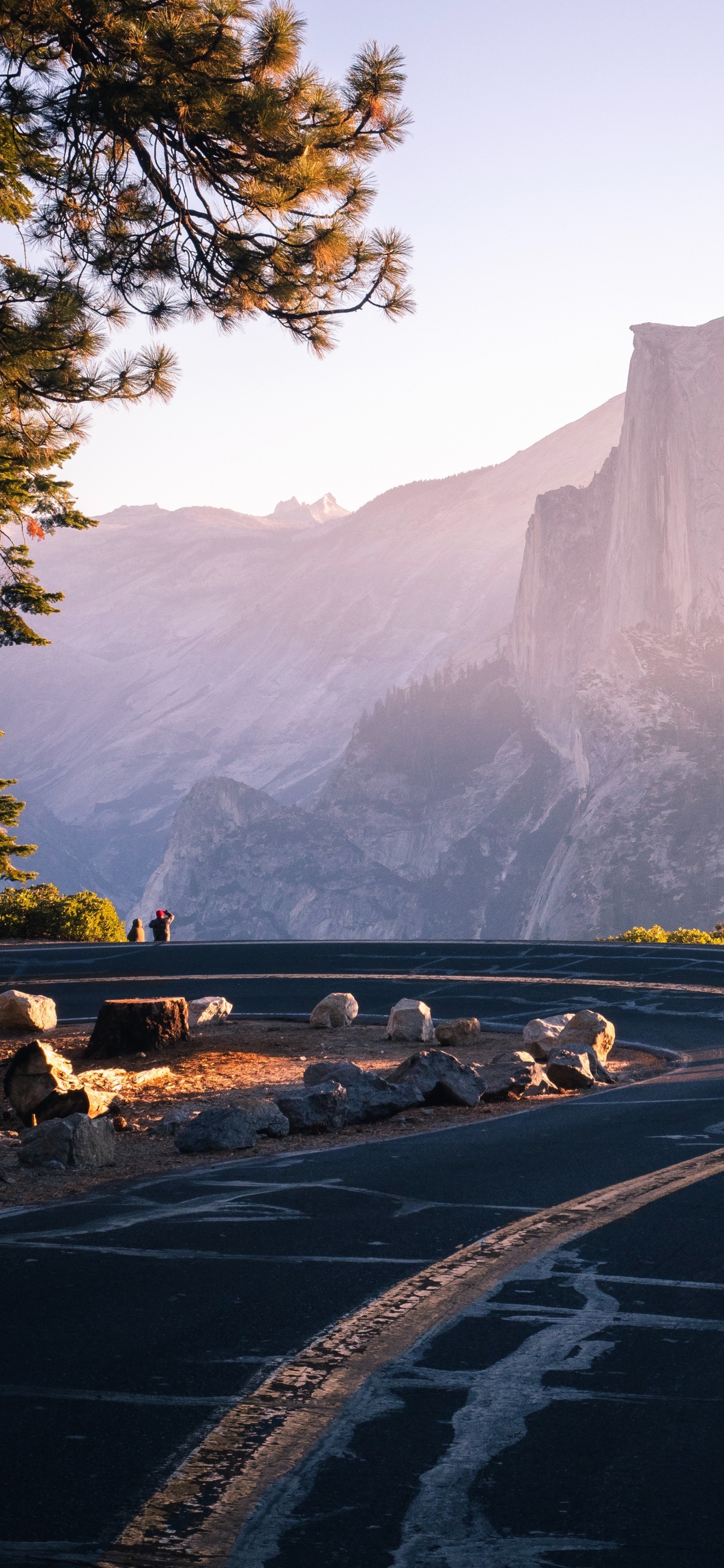 National Park, Park, Nature, Natural Landscape, Tree. Wallpaper in 1242x2688 Resolution