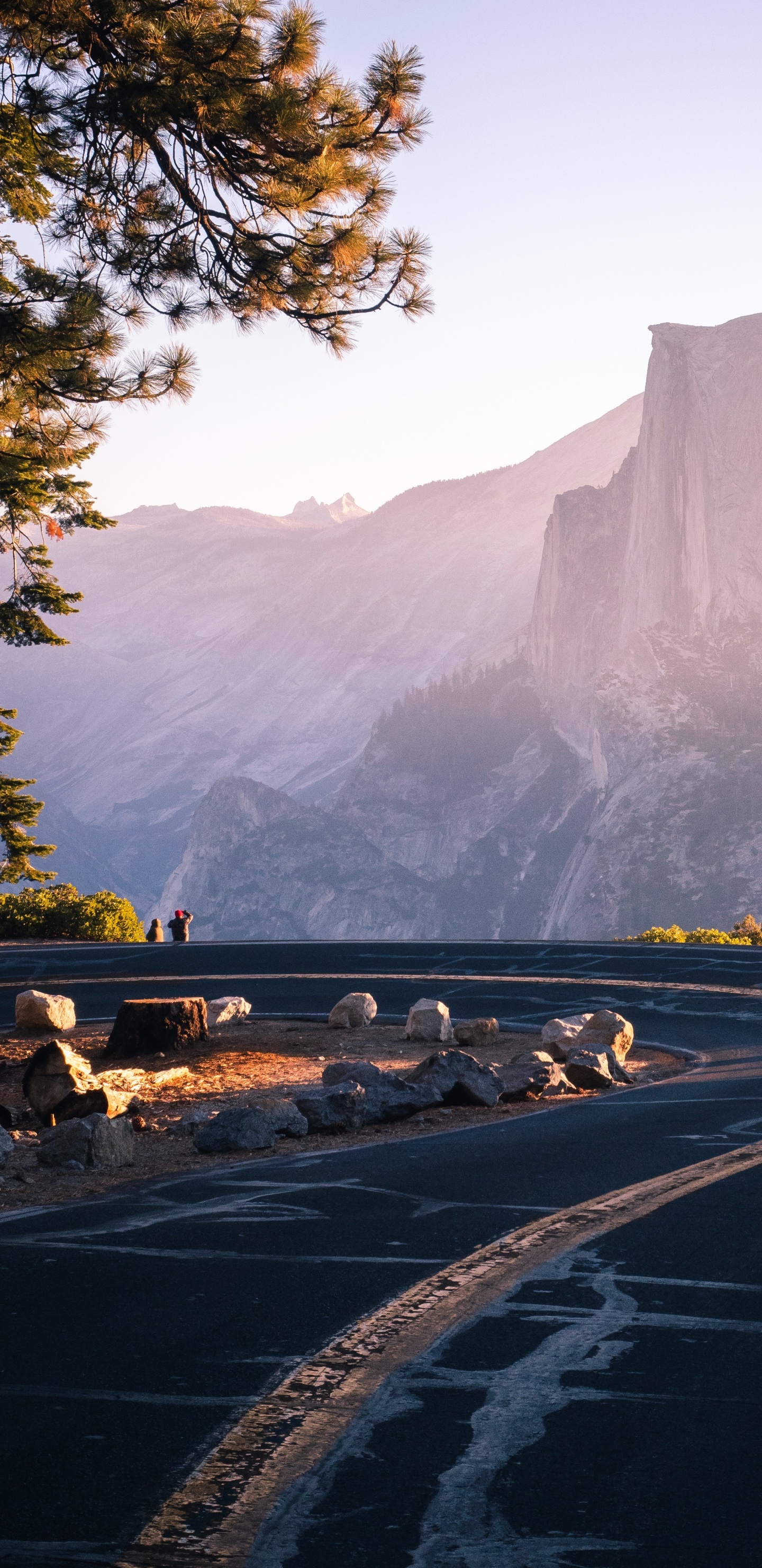 National Park, Park, Nature, Natural Landscape, Tree. Wallpaper in 1440x2960 Resolution