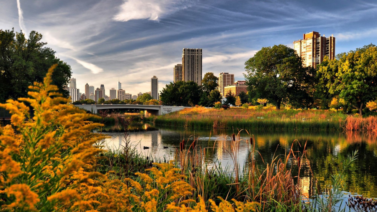 Champ D'herbe Verte Près du Plan D'eau Pendant la Journée. Wallpaper in 1280x720 Resolution
