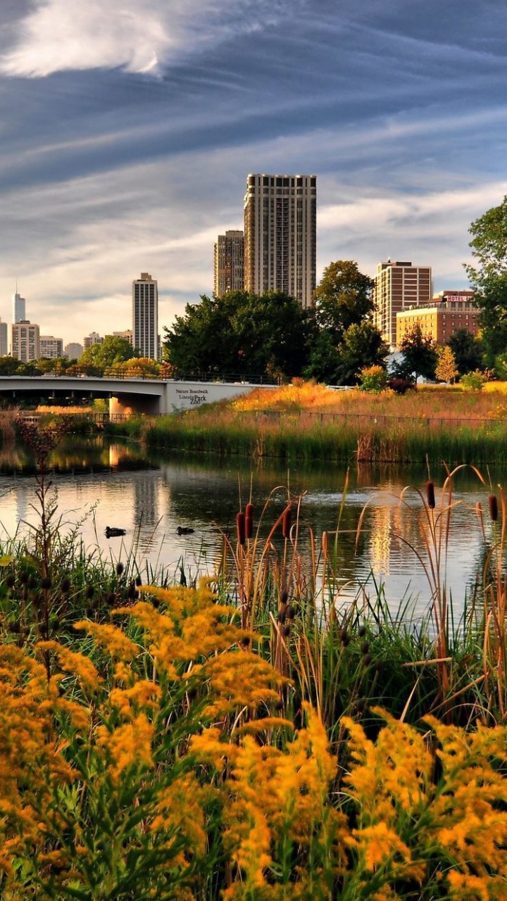 Champ D'herbe Verte Près du Plan D'eau Pendant la Journée. Wallpaper in 720x1280 Resolution