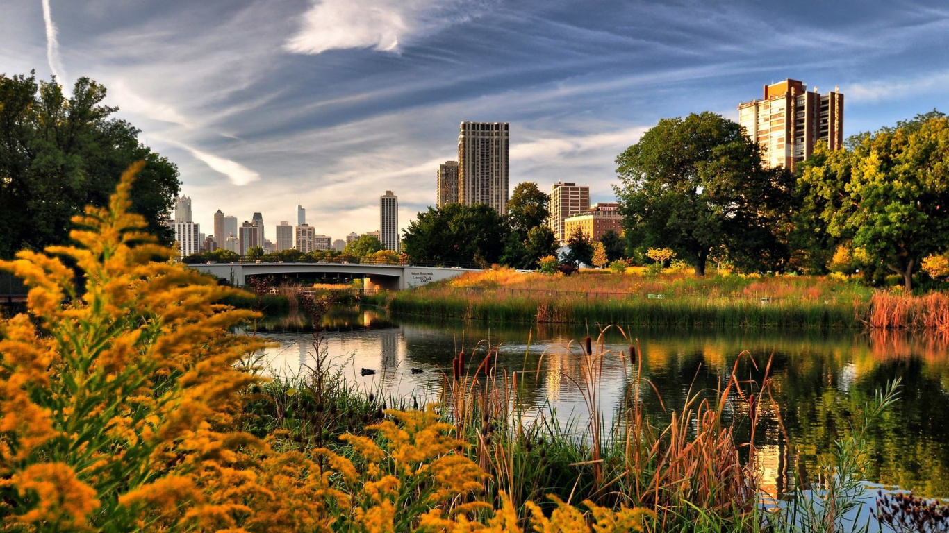 Green Grass Field Near Body of Water During Daytime. Wallpaper in 1366x768 Resolution