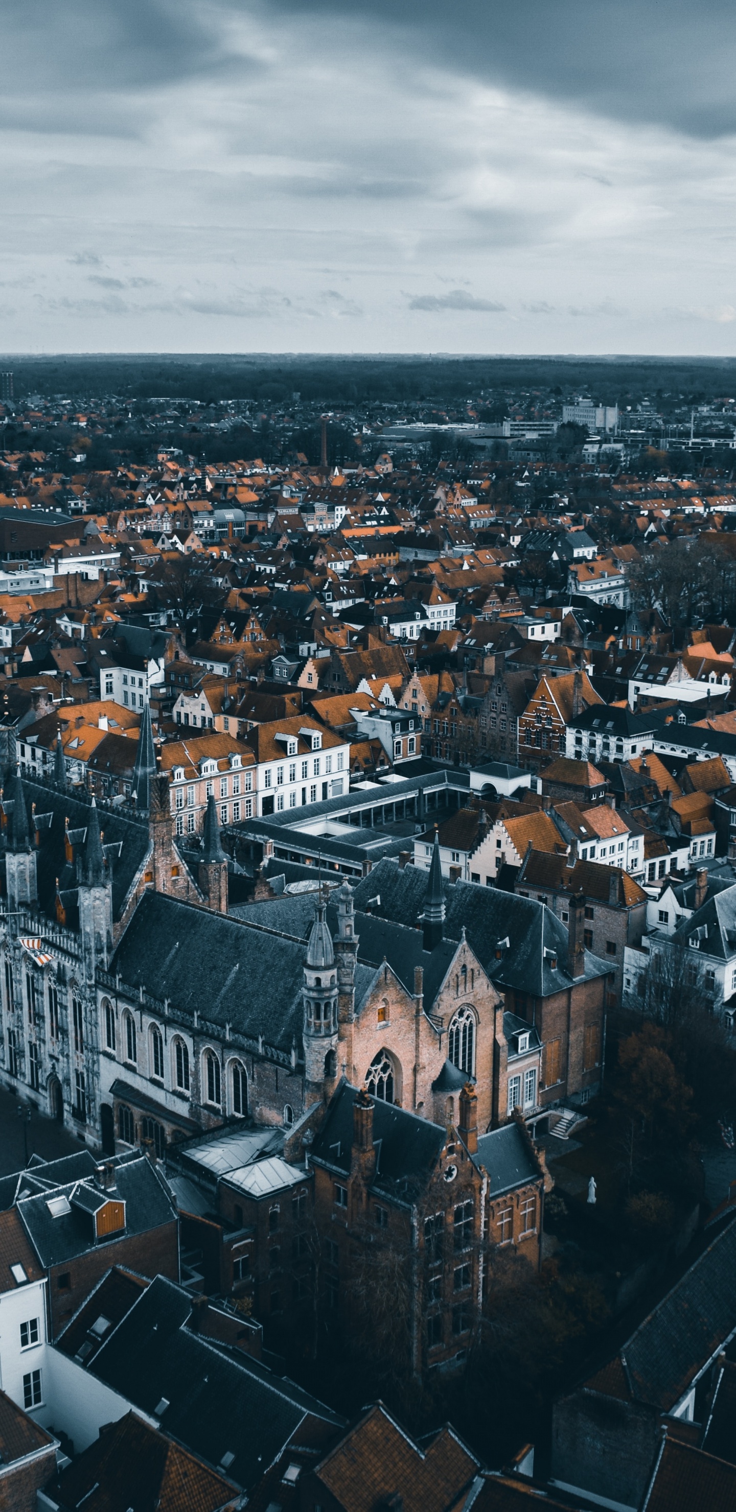 Vue Aérienne Des Bâtiments de la Ville Pendant la Journée. Wallpaper in 1440x2960 Resolution