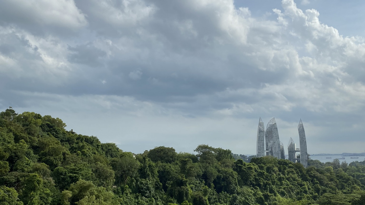 Végétation, Mount Scenery, Biome, Les Landes, Nature. Wallpaper in 1280x720 Resolution