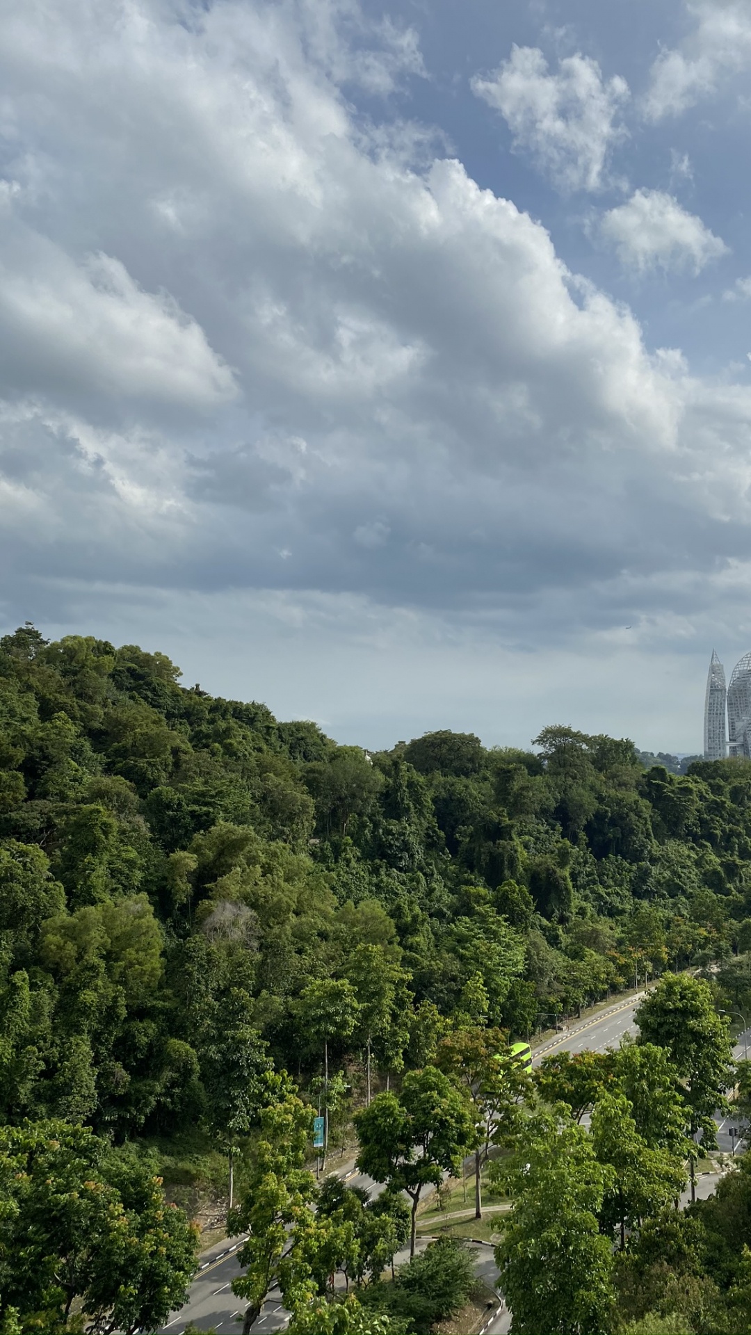 Vegetation, Mount Scenery, Biome, Shrubland, Nature. Wallpaper in 1080x1920 Resolution