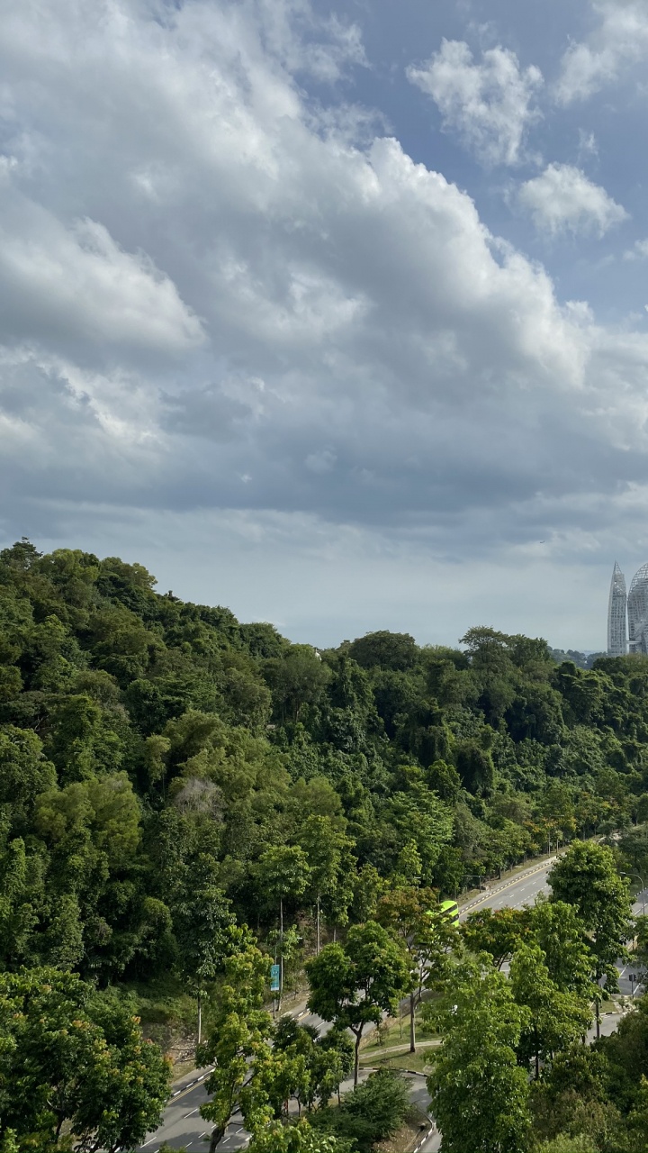 Vegetation, Mount Scenery, Biome, Shrubland, Nature. Wallpaper in 720x1280 Resolution