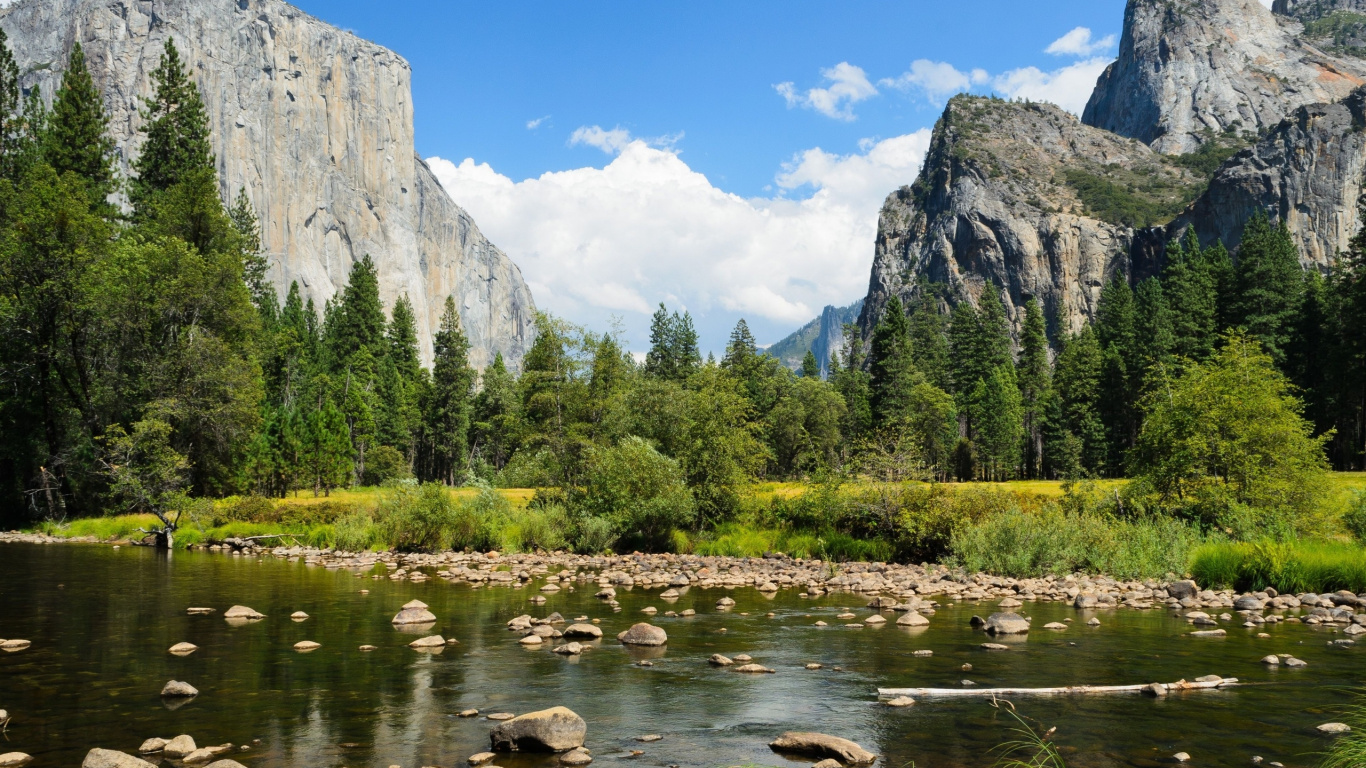 Green Trees Near Lake and Mountain During Daytime. Wallpaper in 1366x768 Resolution
