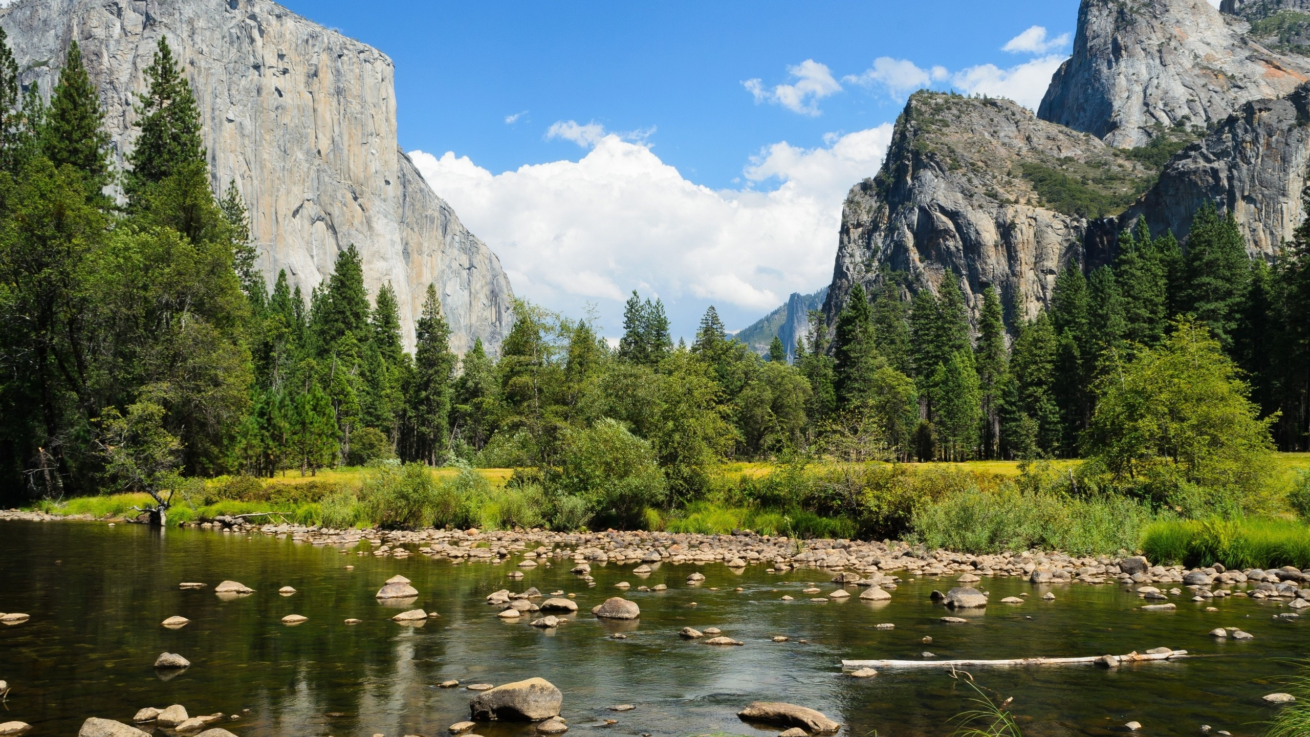 Green Trees Near Lake and Mountain During Daytime. Wallpaper in 2560x1440 Resolution