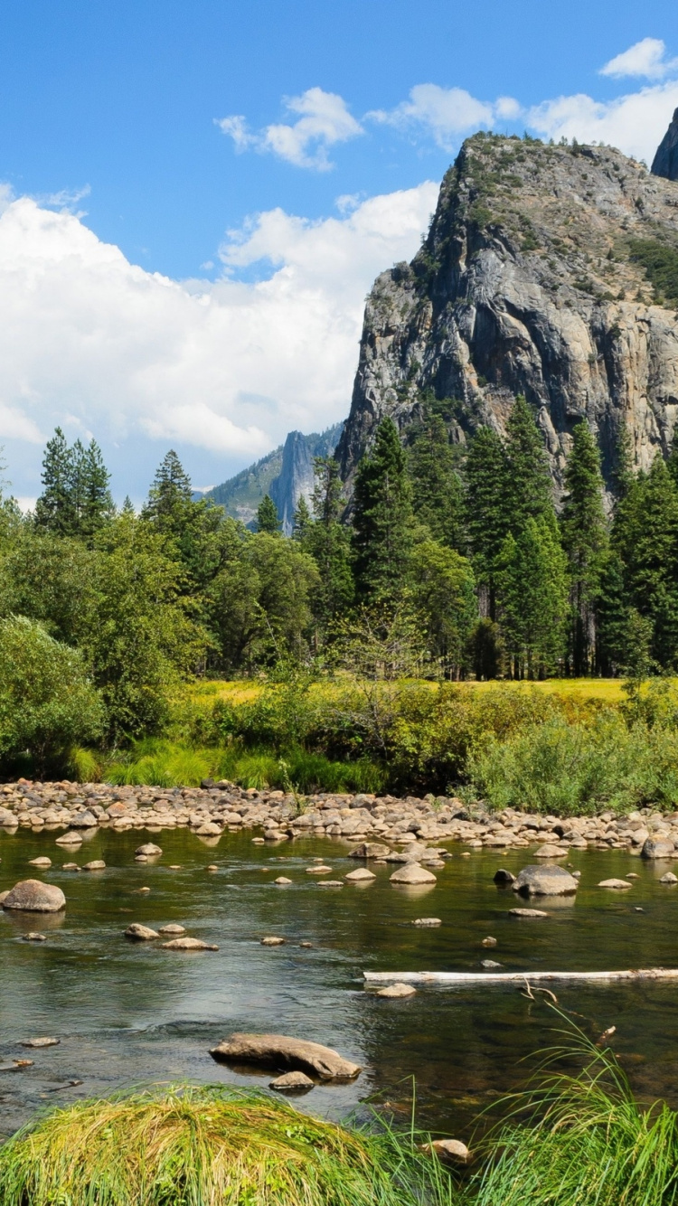 Green Trees Near Lake and Mountain During Daytime. Wallpaper in 750x1334 Resolution
