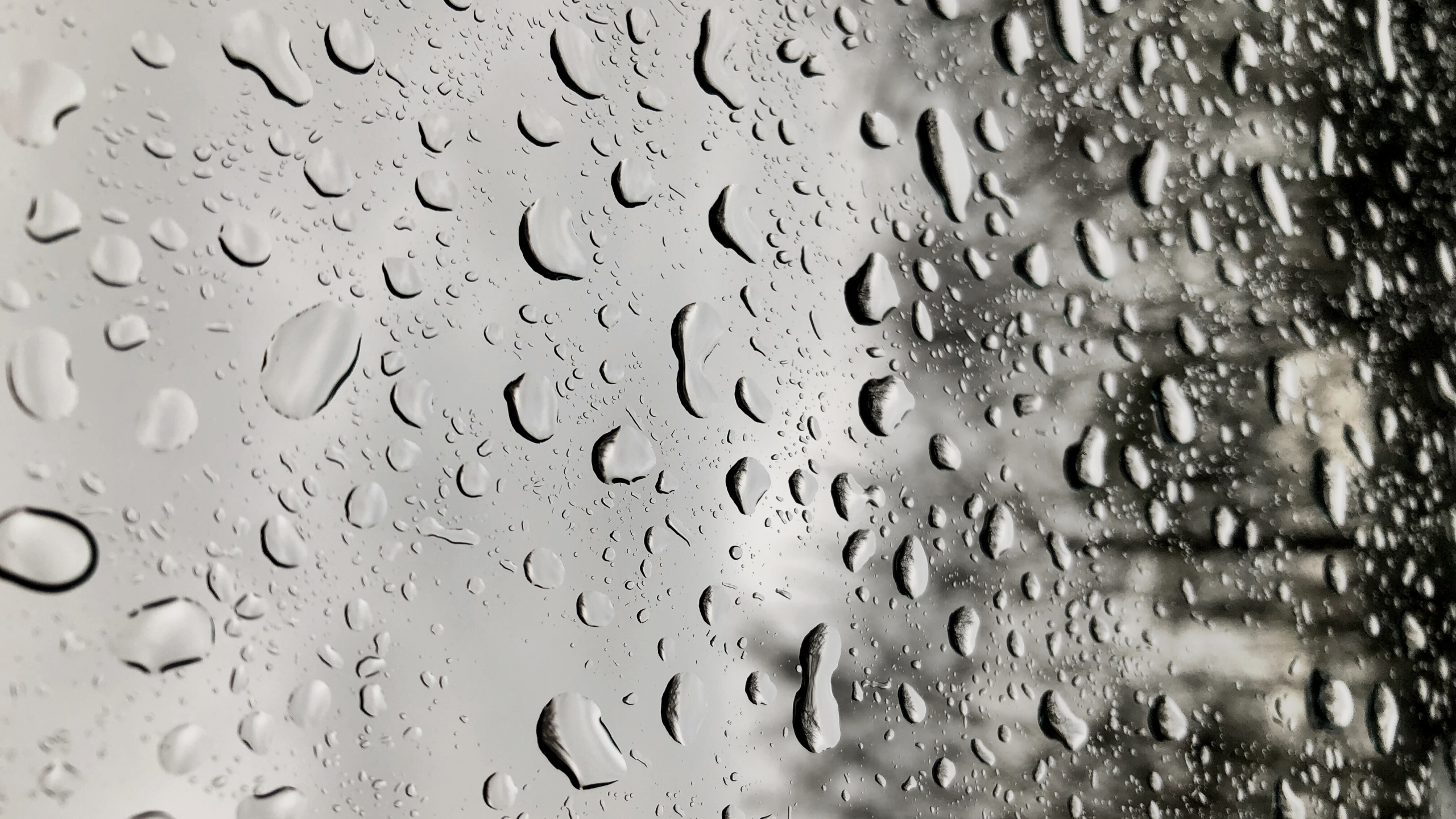 Lluvia, Ventana, Agua, Humedad, Llovizna. Wallpaper in 2560x1440 Resolution