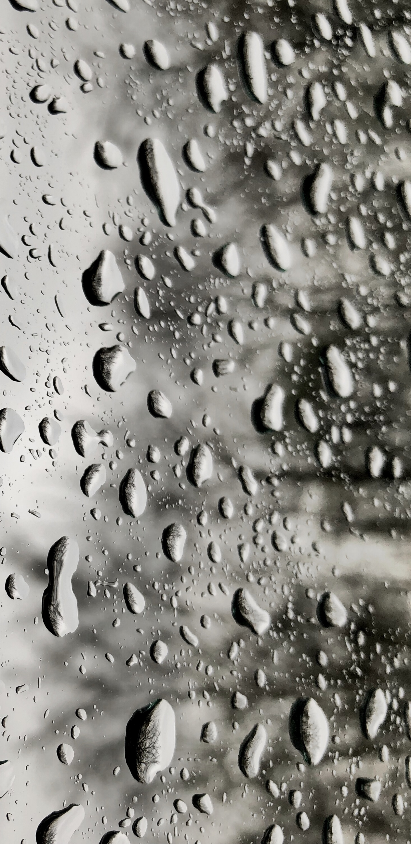 Pluie, Fenêtre, Eau, Humidité, Crachin. Wallpaper in 1440x2960 Resolution