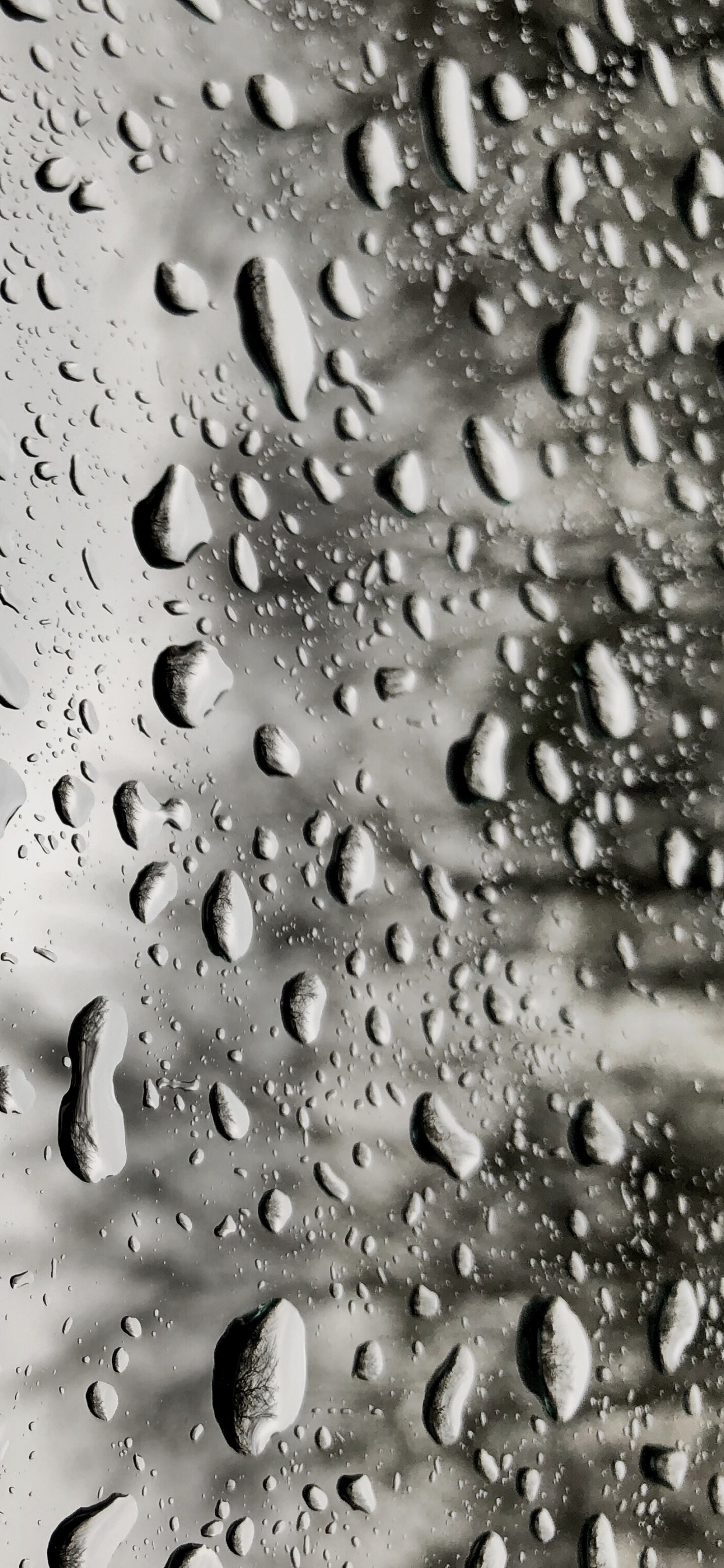 Regen, Tropfen, Fenster, Wasser, Feuchtigkeit. Wallpaper in 1242x2688 Resolution