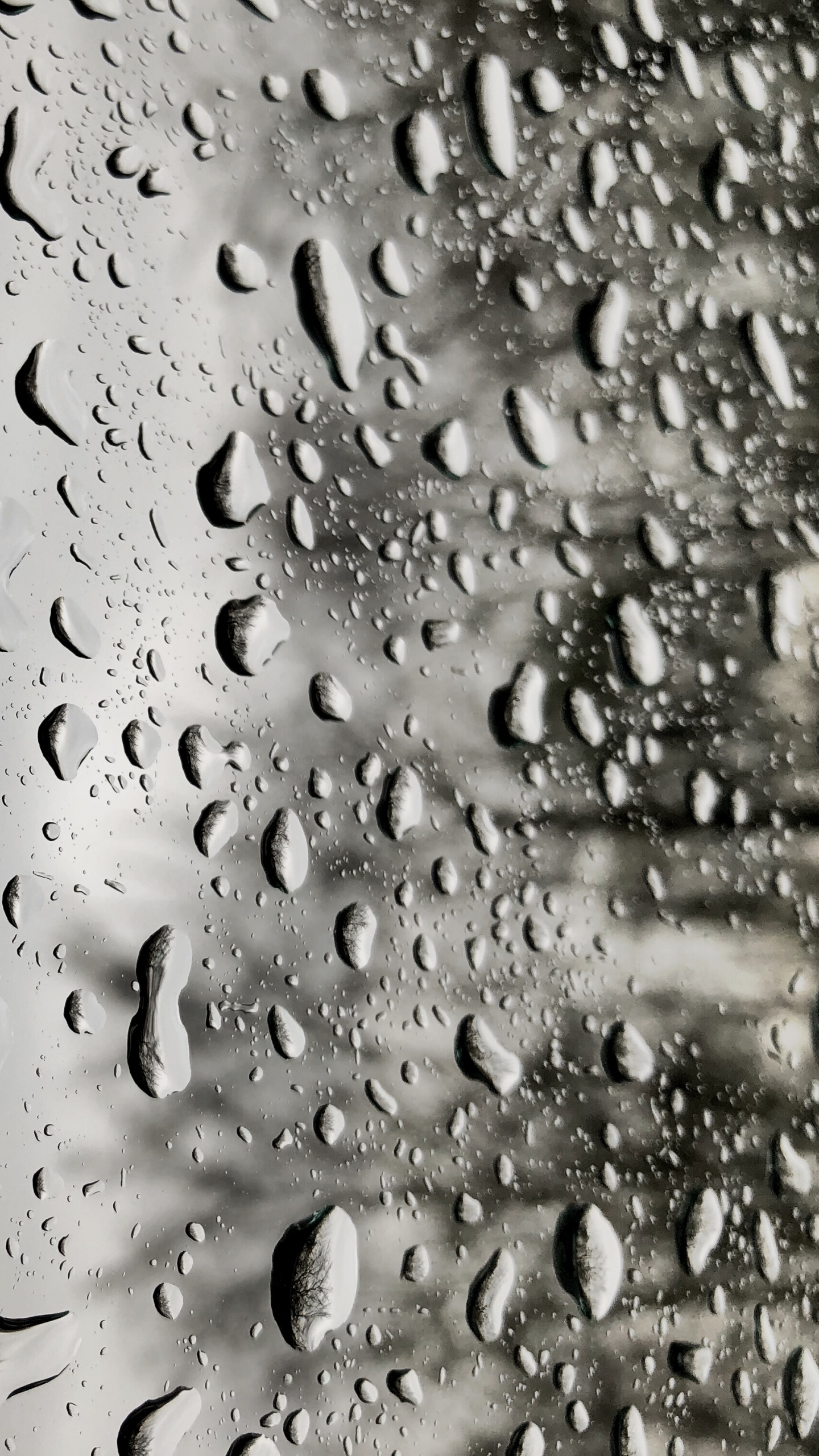Rain, Drop, Window, Water, Moisture. Wallpaper in 1440x2560 Resolution