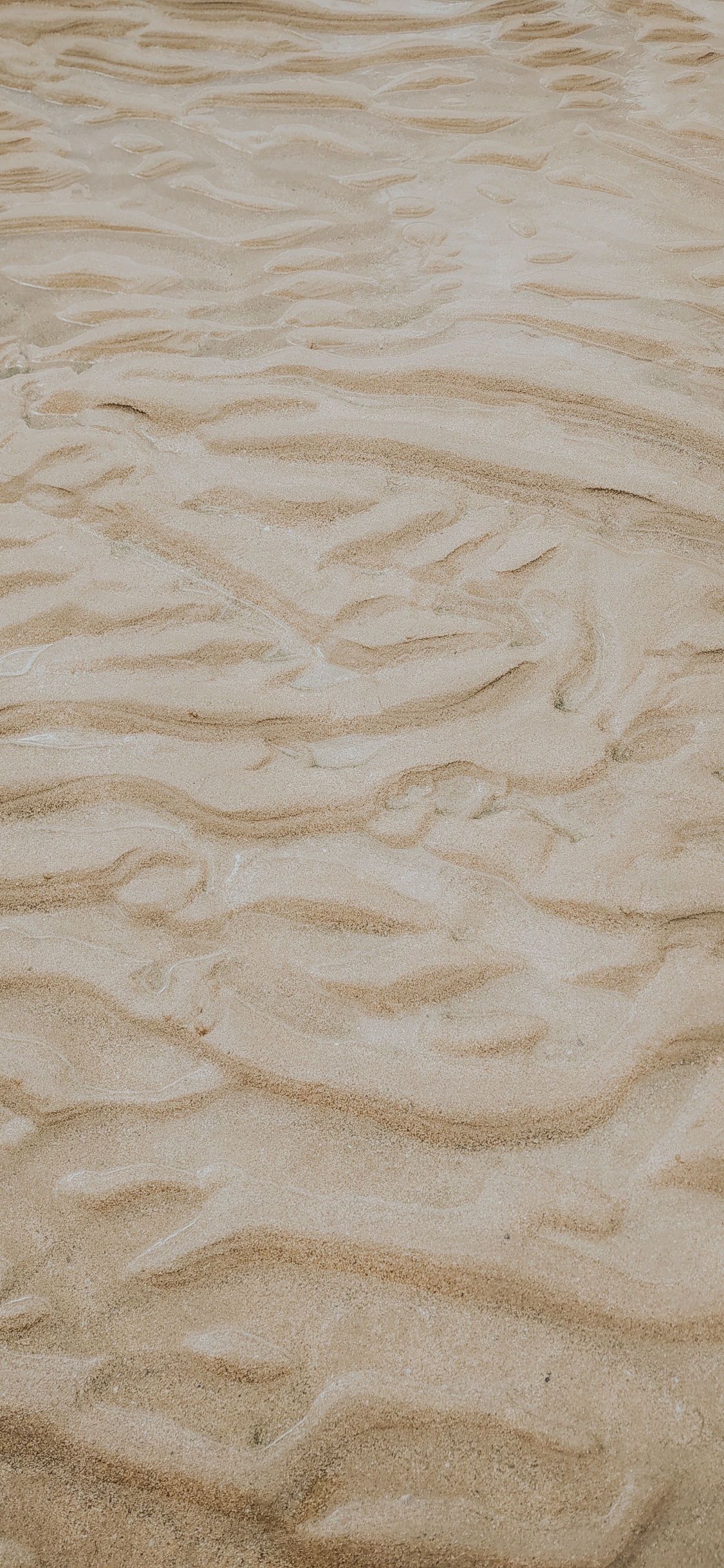 Beige, Sand, Material, Ecoregion, Wood. Wallpaper in 1125x2436 Resolution