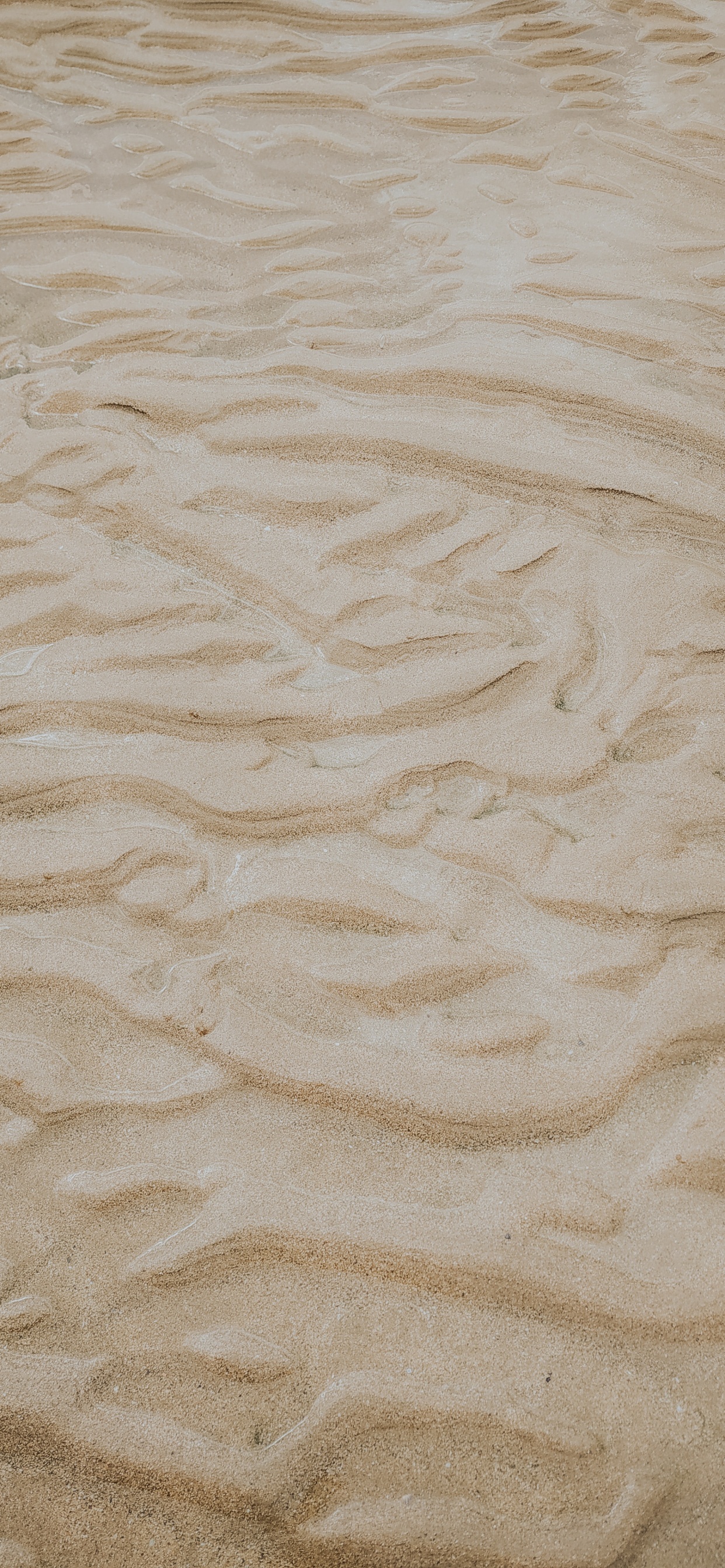 Beige, Sand, Material, Ecoregion, Wood. Wallpaper in 1242x2688 Resolution