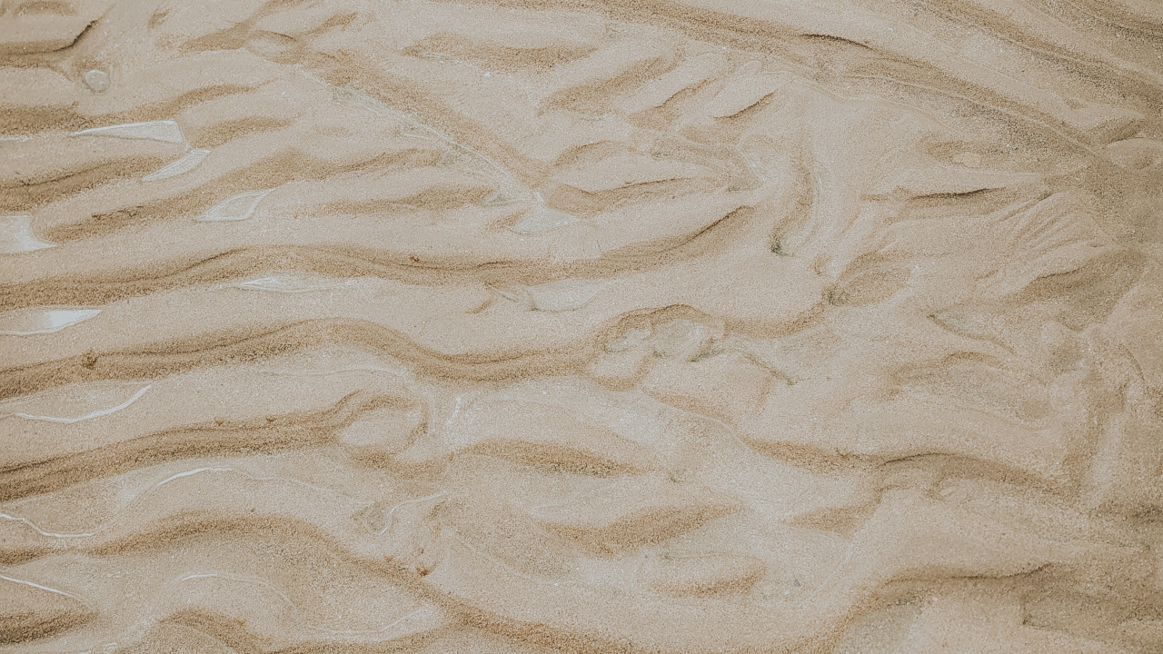 Beige, Sand, Material, Ecoregion, Wood. Wallpaper in 1280x720 Resolution