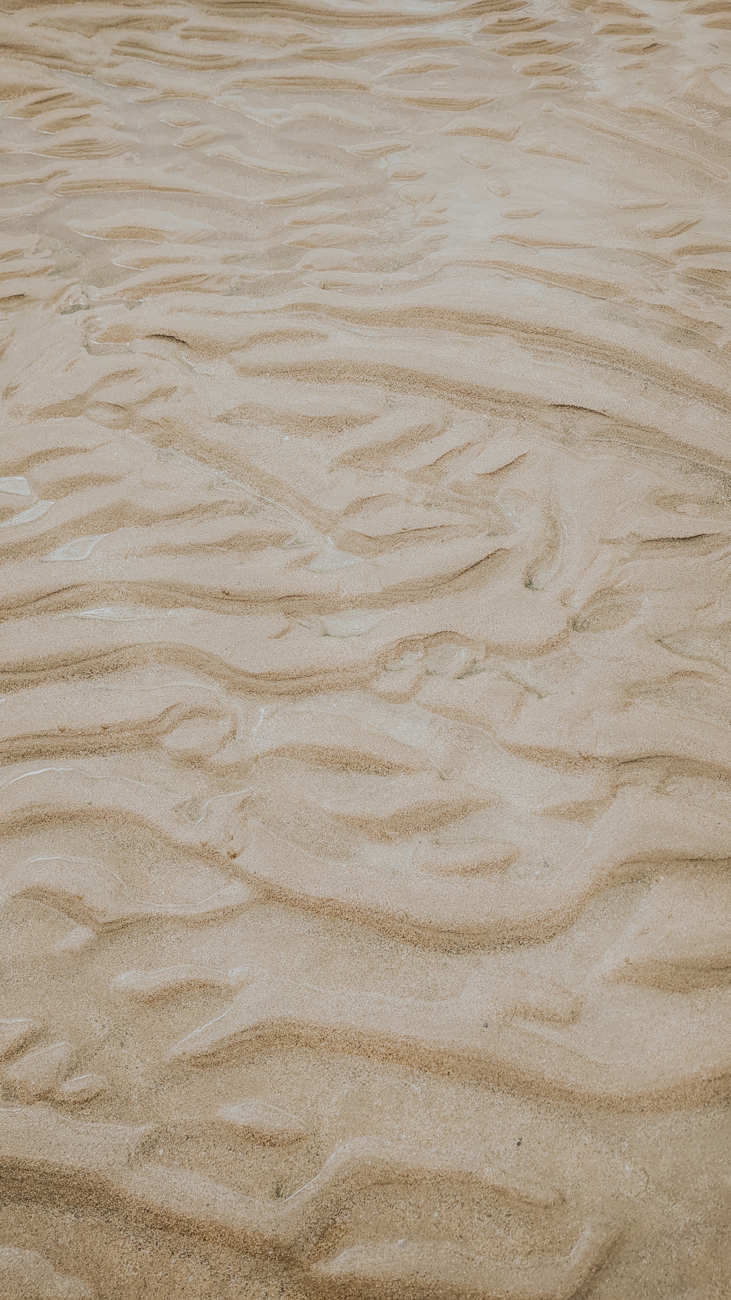 Beige, Sand, Material, Ecoregion, Wood. Wallpaper in 1440x2560 Resolution