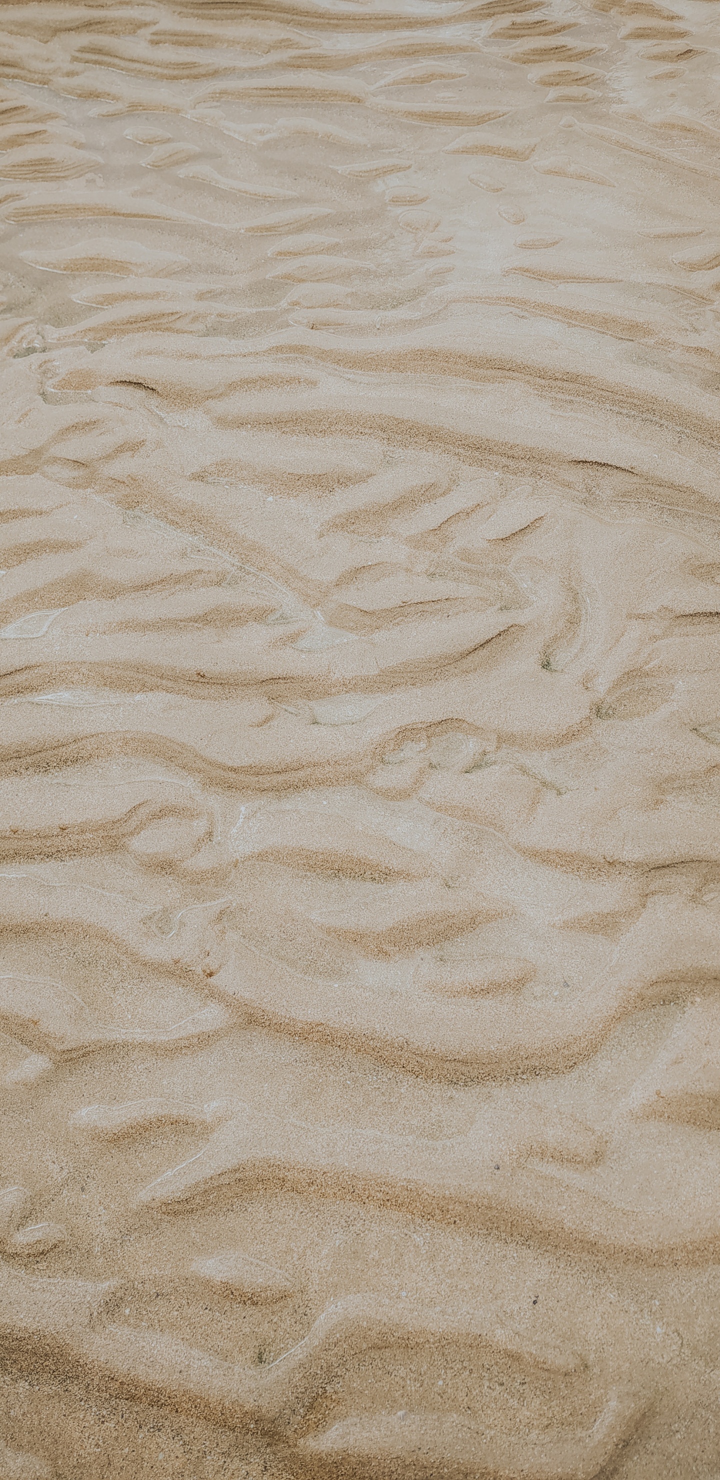 Beige, Sand, Material, Ecoregion, Wood. Wallpaper in 1440x2960 Resolution