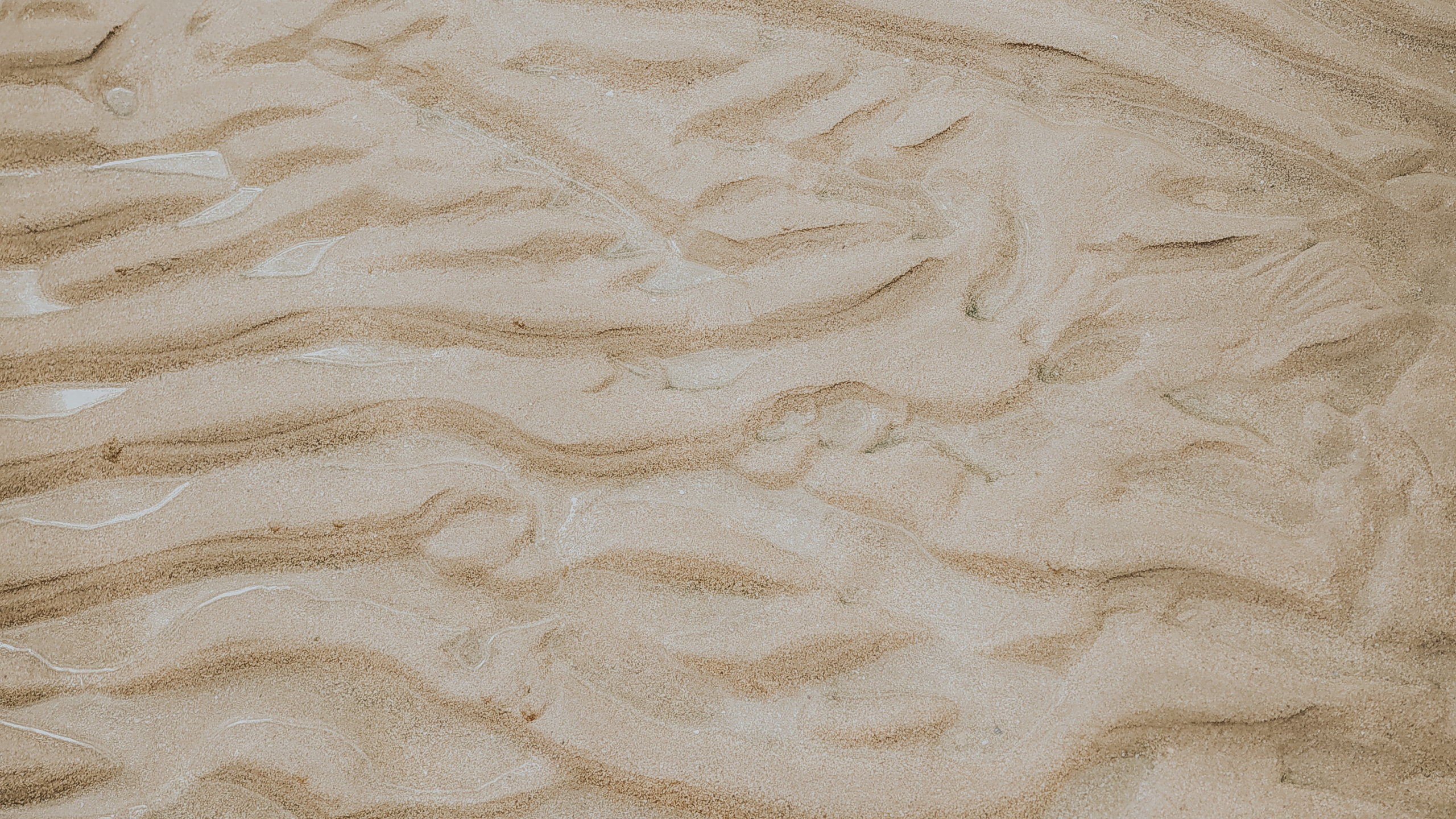 Beige, Sand, Material, Ecoregion, Wood. Wallpaper in 2560x1440 Resolution