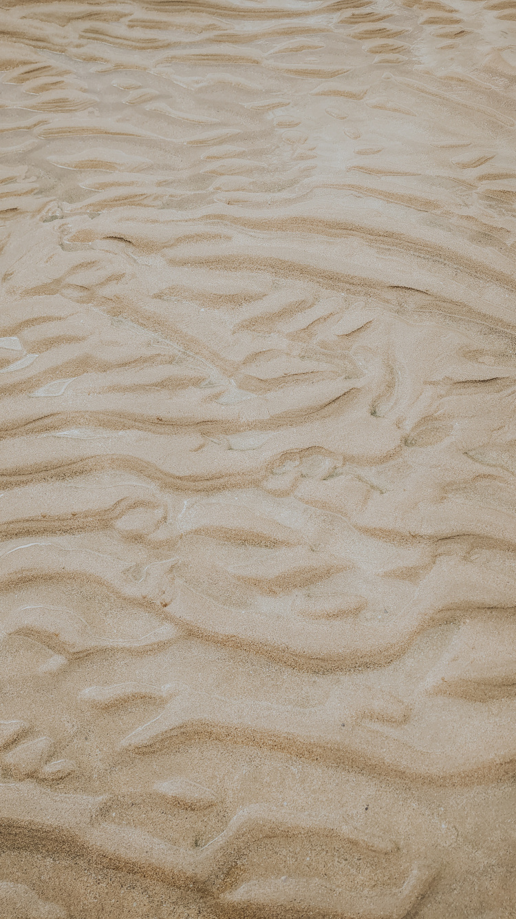 Beige, Sand, Material, Ecoregion, Wood. Wallpaper in 750x1334 Resolution