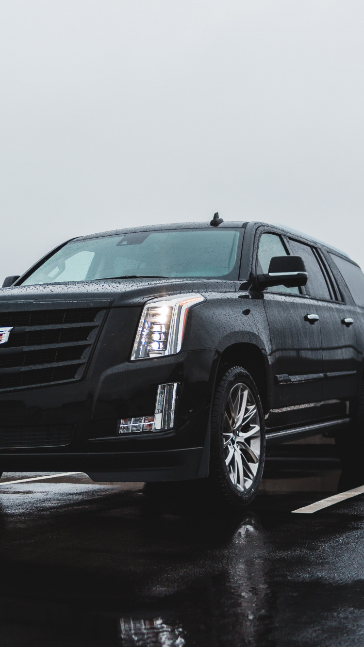 Mercedes Benz Berline Noire Sur Route Pendant la Journée. Wallpaper in 750x1334 Resolution