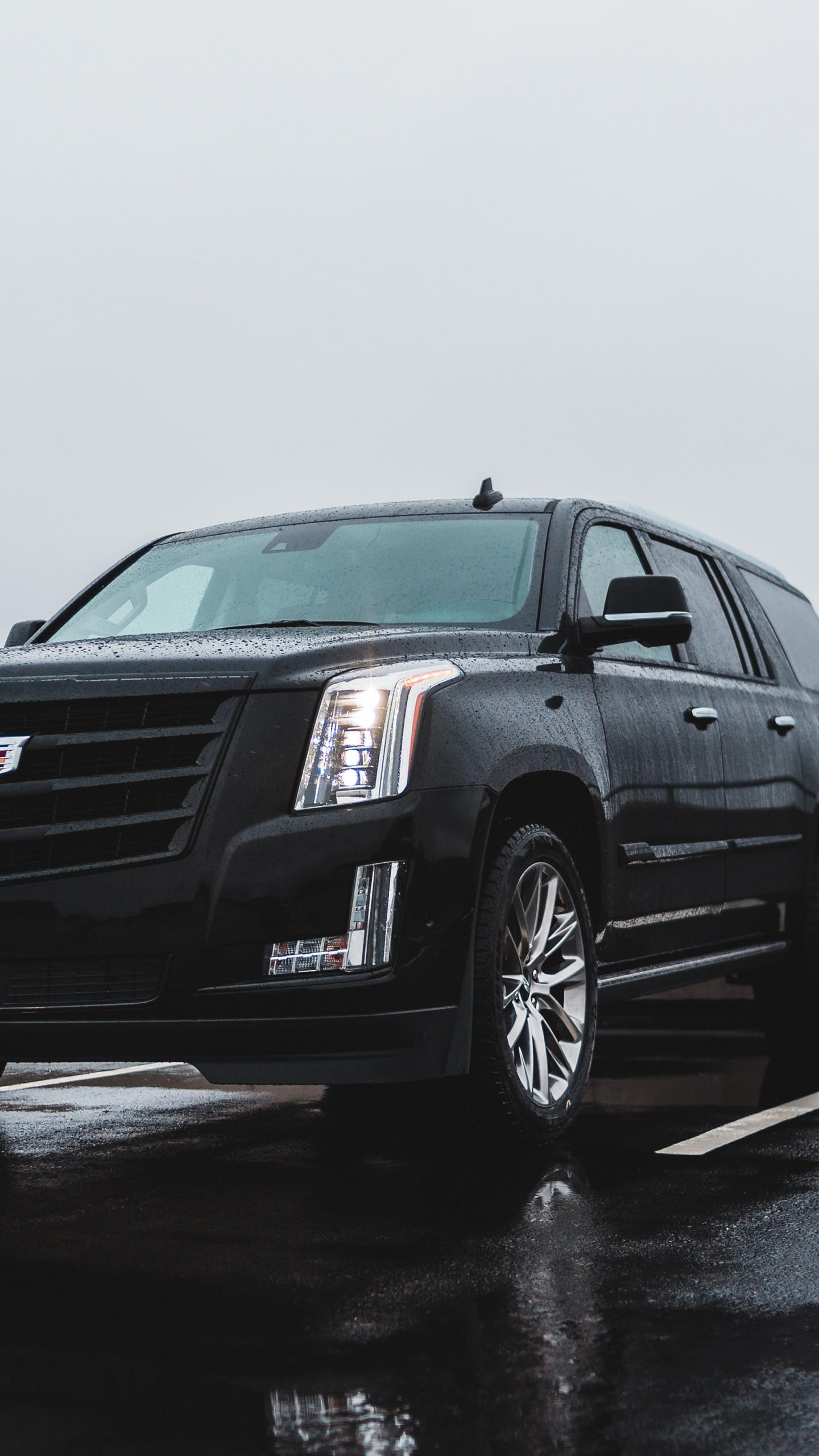 Schwarze Mercedes-Benz-Limousine Tagsüber Unterwegs. Wallpaper in 1440x2560 Resolution