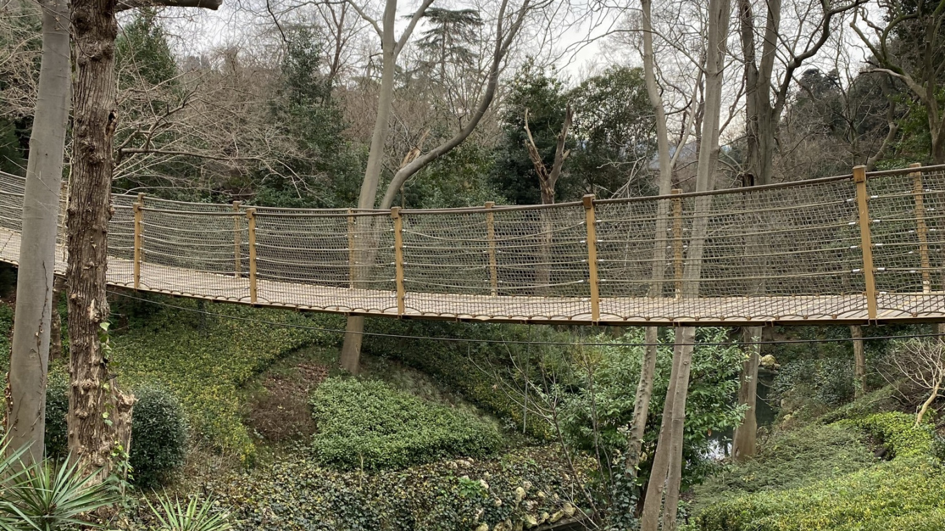 Wasser, Biologie, Wissenschaft, Baum, Naturlandschaft. Wallpaper in 1366x768 Resolution