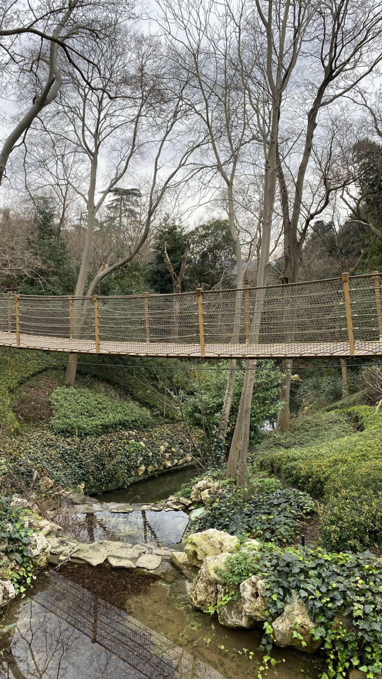 Wasser, Biologie, Wissenschaft, Baum, Naturlandschaft. Wallpaper in 750x1334 Resolution