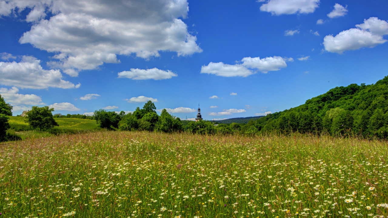 Green Grass Field Under Blue Sky and White Clouds During Daytime. Wallpaper in 1280x720 Resolution