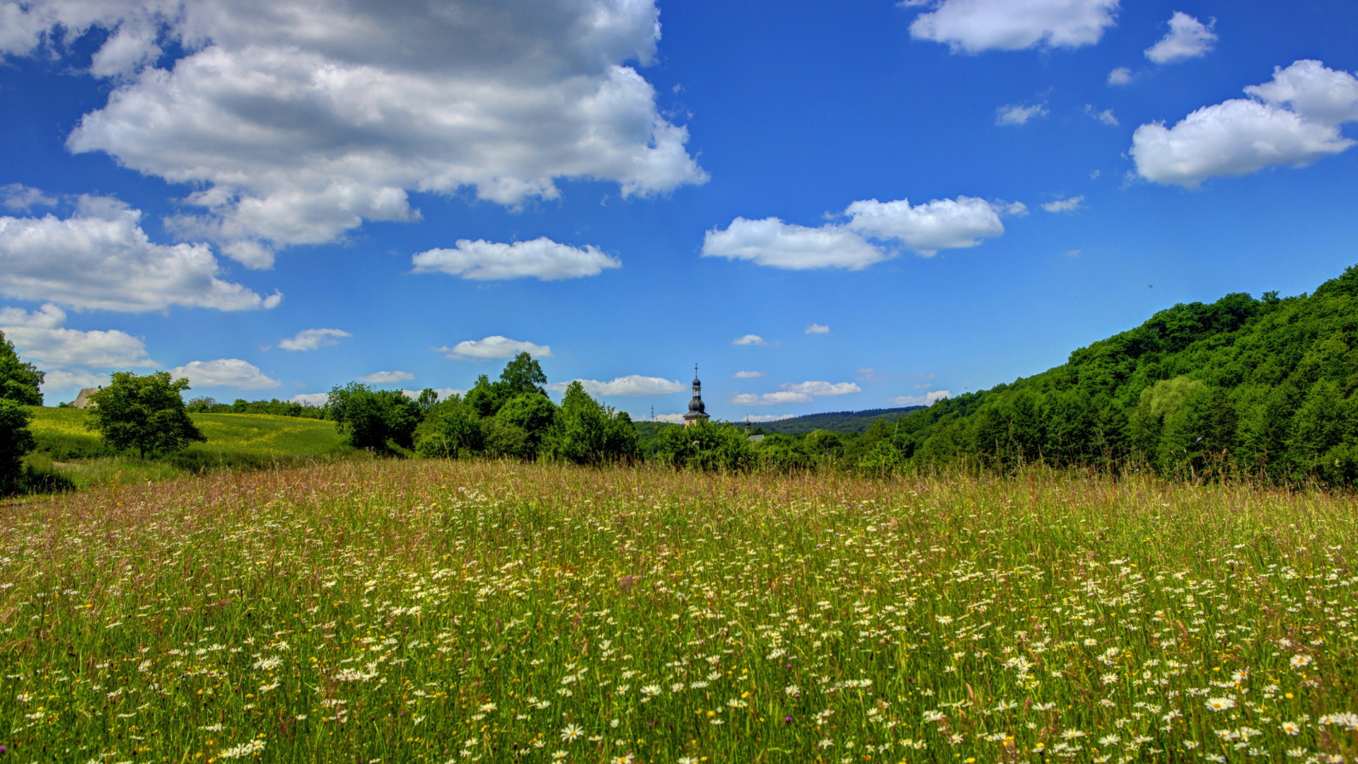 Green Grass Field Under Blue Sky and White Clouds During Daytime. Wallpaper in 1920x1080 Resolution