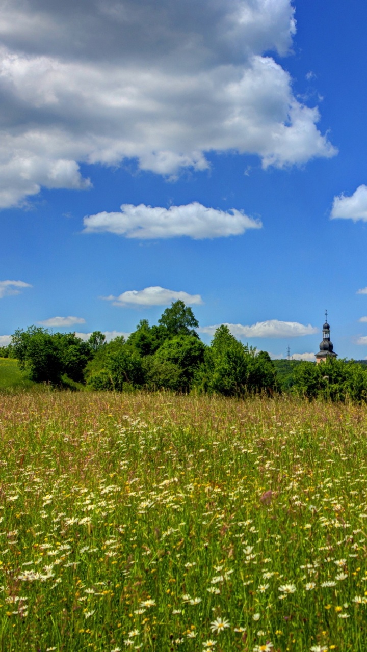 Green Grass Field Under Blue Sky and White Clouds During Daytime. Wallpaper in 720x1280 Resolution