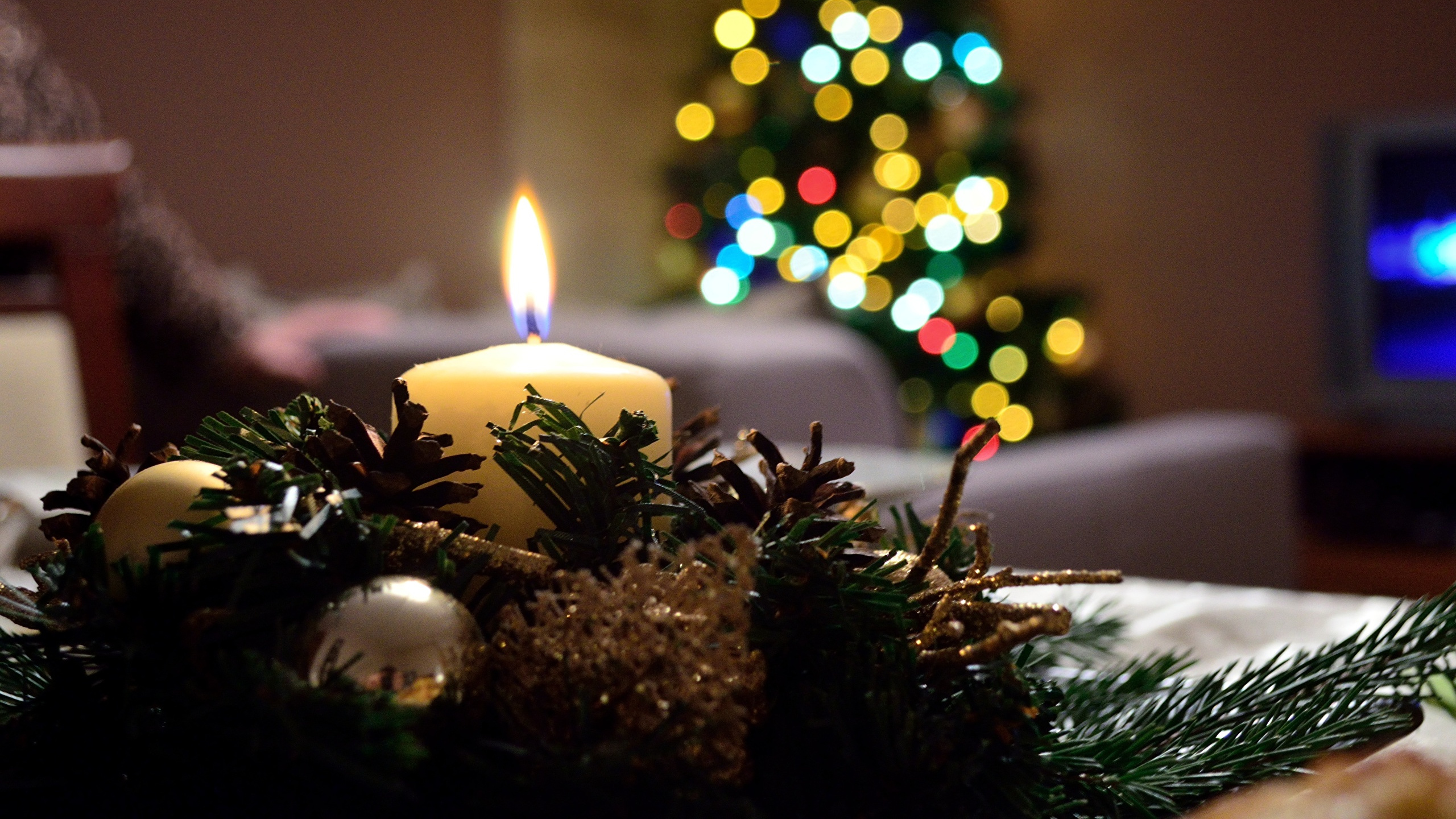 Christmas Tree, Christmas Lights, Christmas Ornament, Christmas Day, New Year. Wallpaper in 2560x1440 Resolution