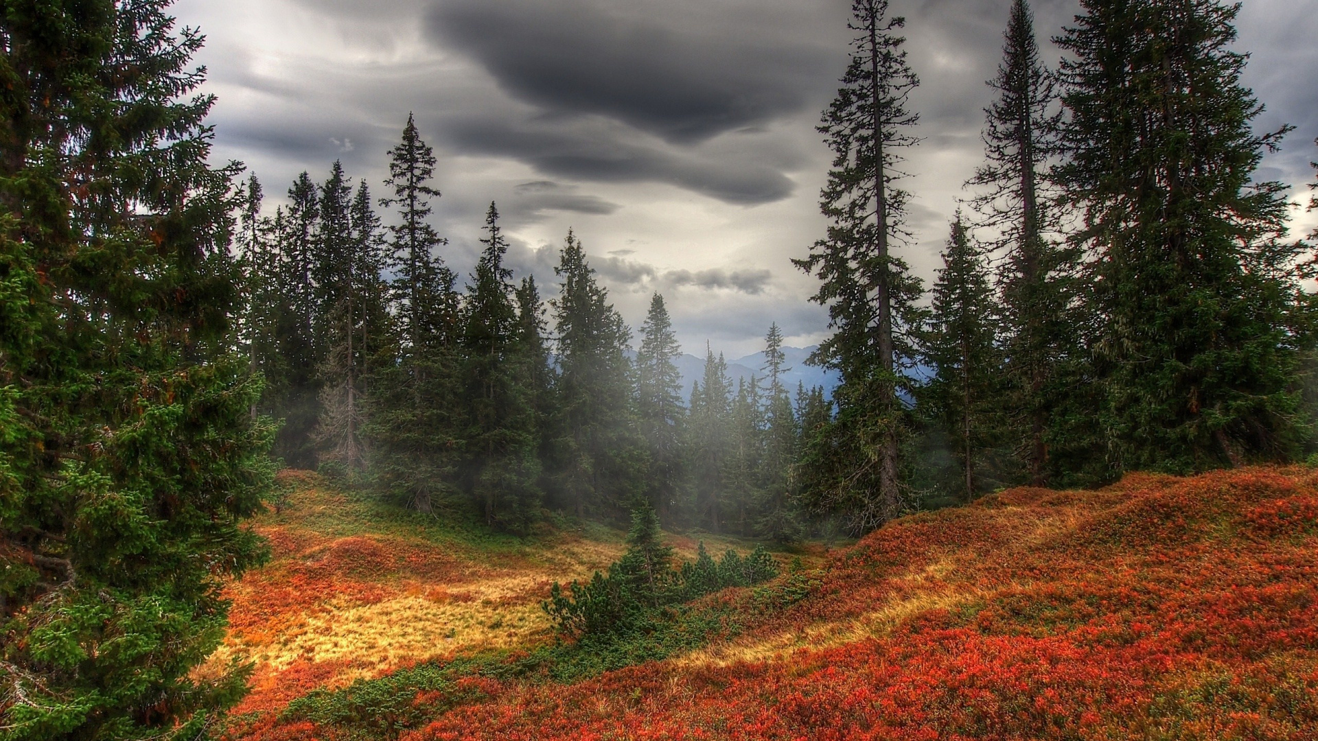 Green Pine Trees Under Cloudy Sky During Daytime. Wallpaper in 1920x1080 Resolution
