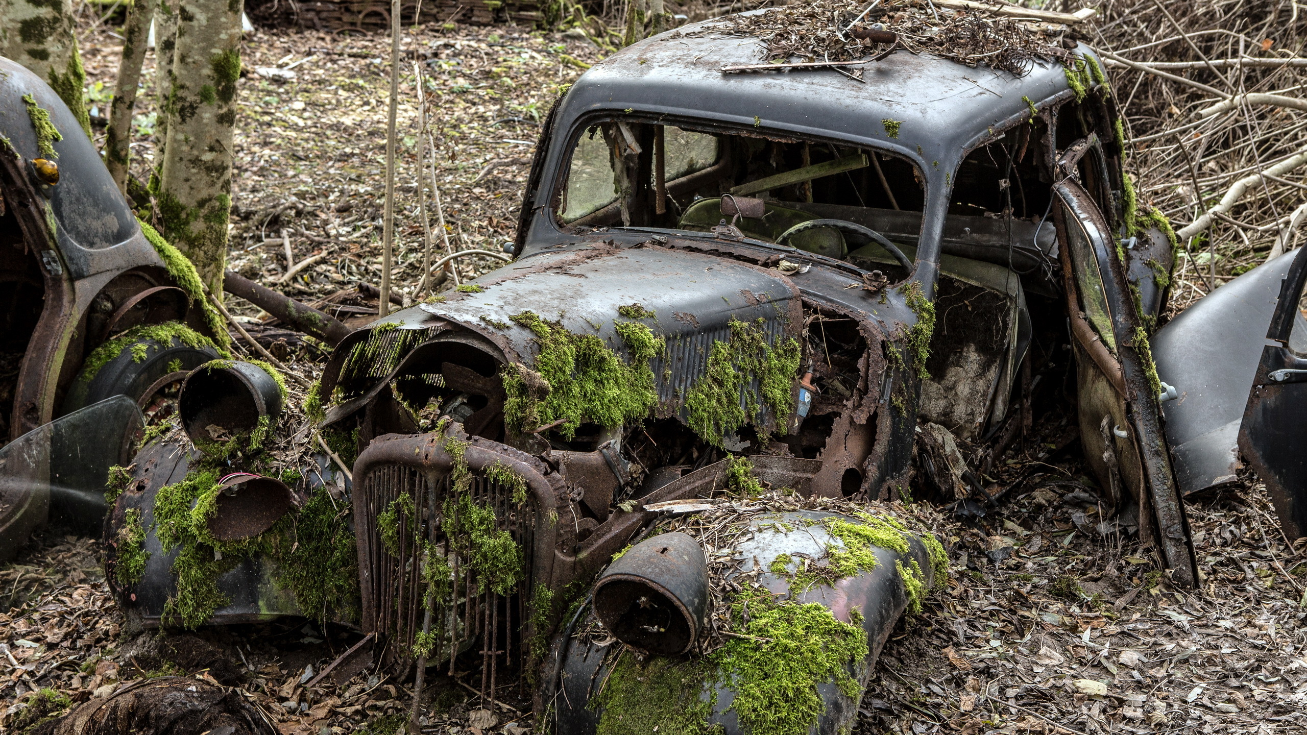 Grün-brauner Oldtimer Vintage. Wallpaper in 2560x1440 Resolution