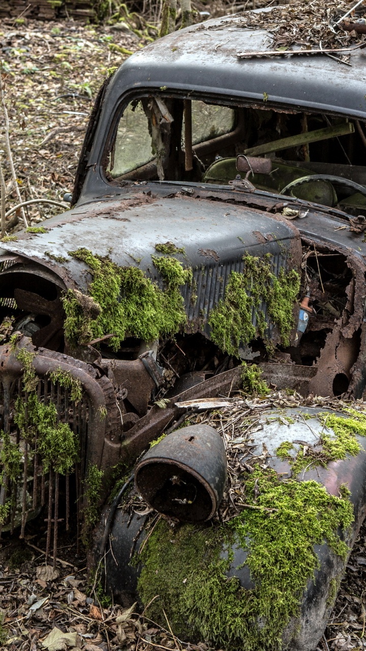 Grün-brauner Oldtimer Vintage. Wallpaper in 720x1280 Resolution