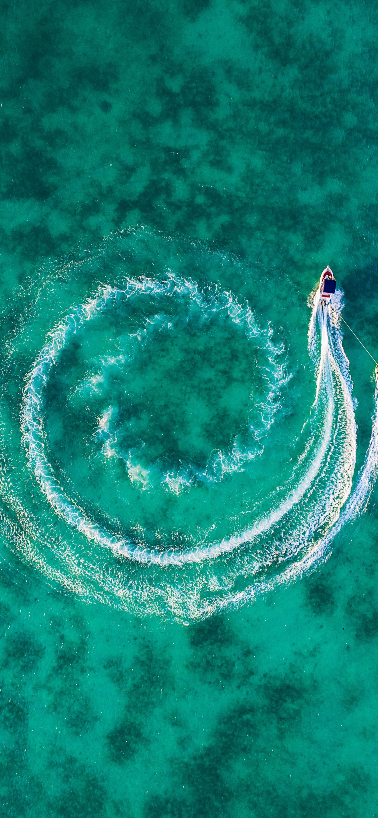 Smartphone, Blackview, Verde Medianoche, Android, Agua. Wallpaper in 1242x2688 Resolution