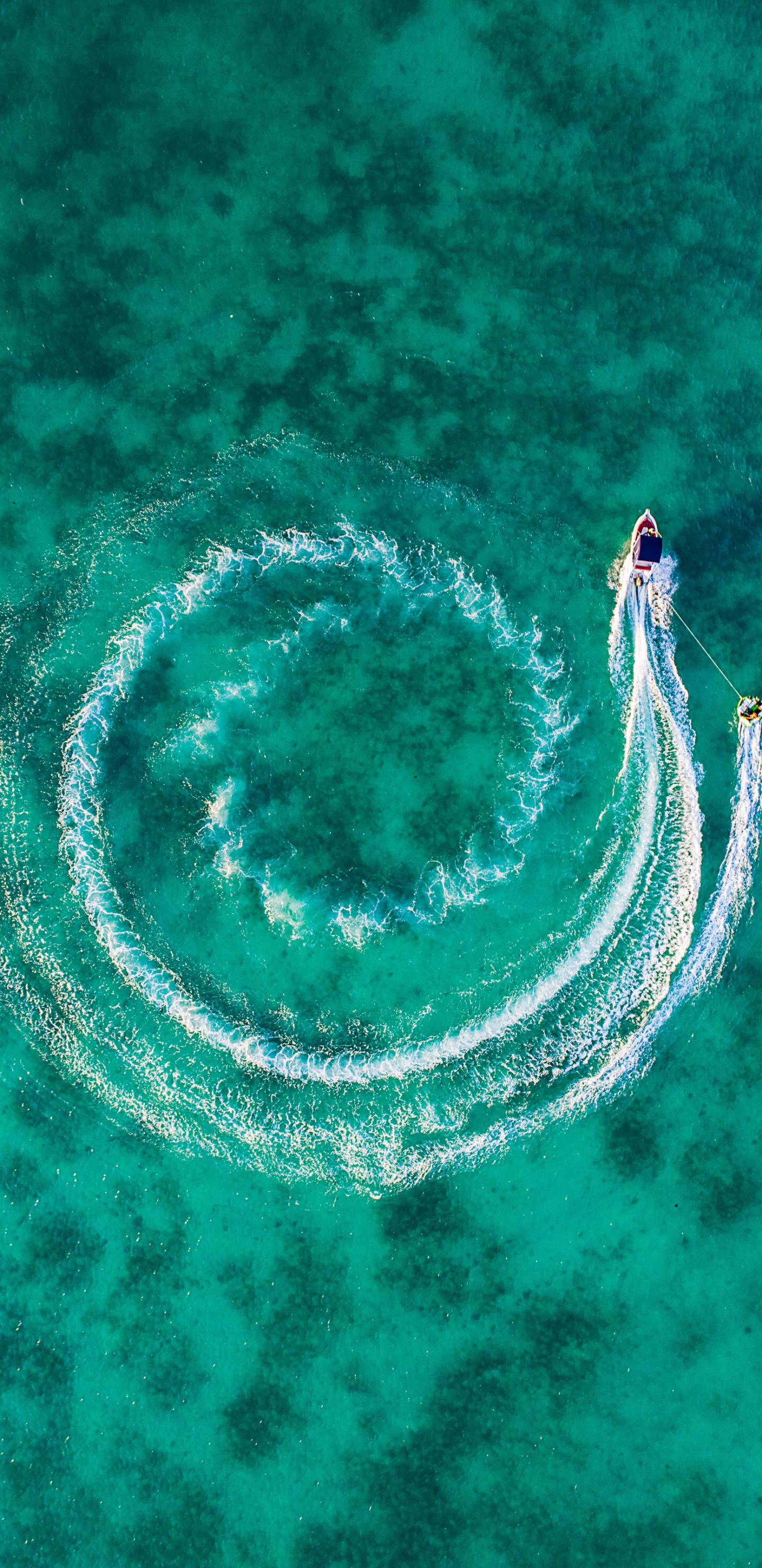 Smartphone, Blackview, Verde Medianoche, Android, Agua. Wallpaper in 1440x2960 Resolution