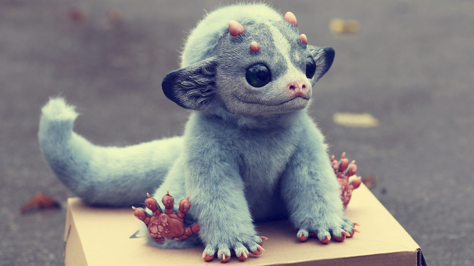 Peluche Animal Bleu et Blanc Sur Table en Bois Marron. Wallpaper in 1920x1080 Resolution