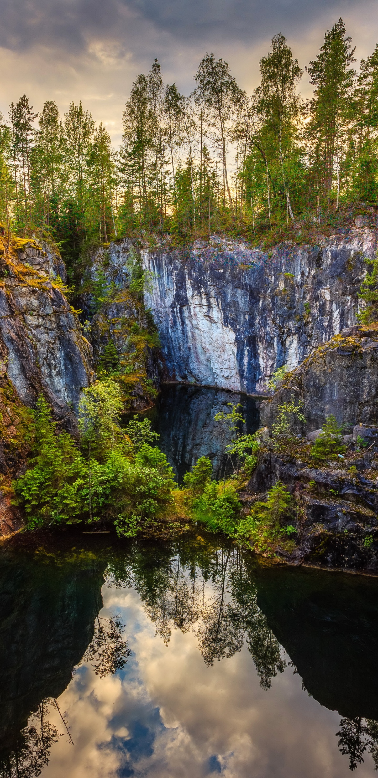Árboles Verdes en la Montaña Rocosa Durante el Día. Wallpaper in 1440x2960 Resolution