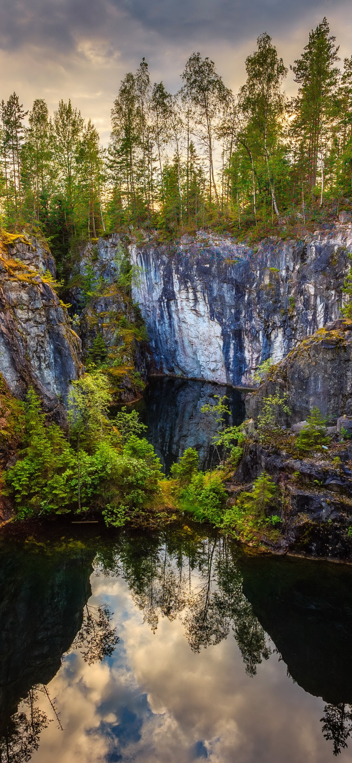 Arbres Verts Sur la Montagne Rocheuse Pendant la Journée. Wallpaper in 1125x2436 Resolution