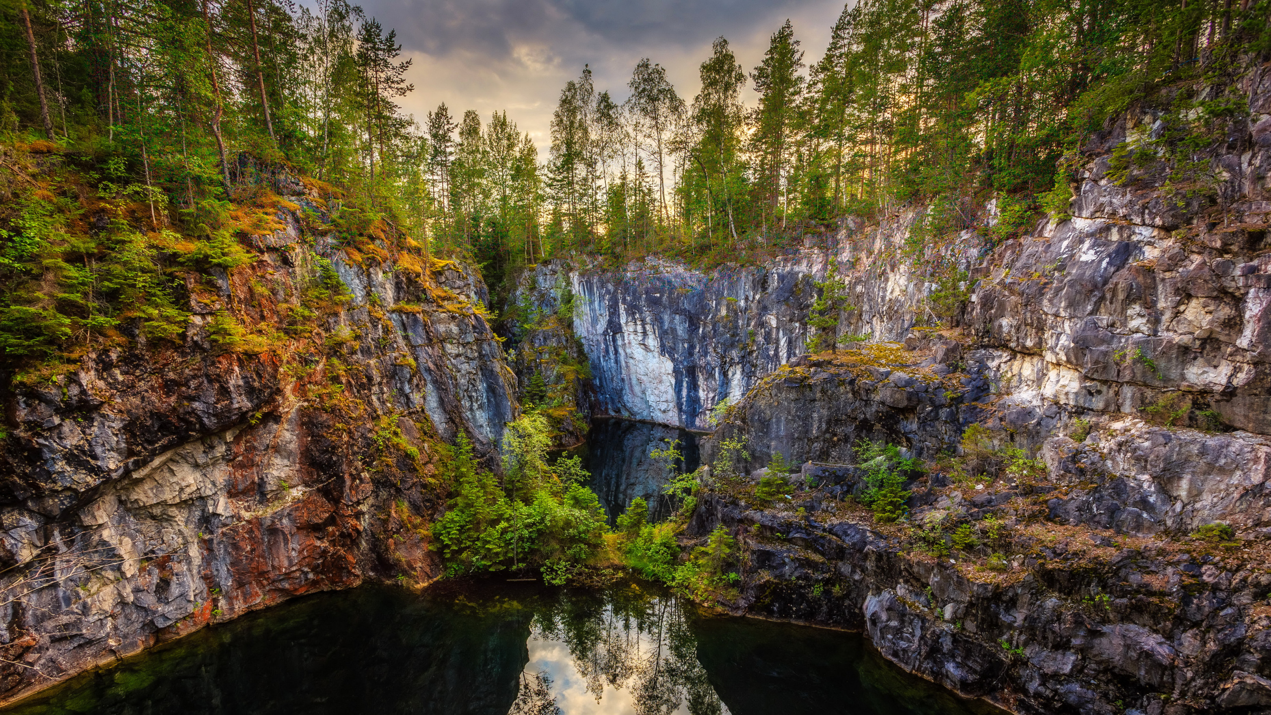 Tagsüber Grüne Bäume Auf Einem Felsigen Berg. Wallpaper in 2560x1440 Resolution
