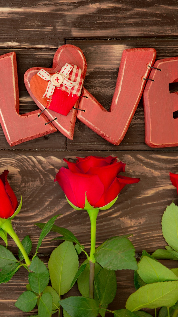 Red, Flower, Petal, Plant, Love. Wallpaper in 720x1280 Resolution