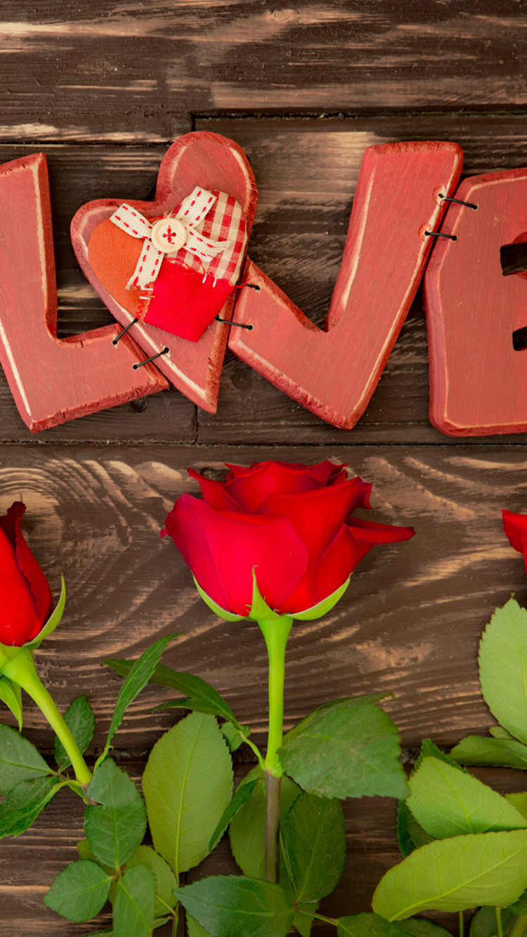 Red, Flower, Petal, Plant, Love. Wallpaper in 750x1334 Resolution