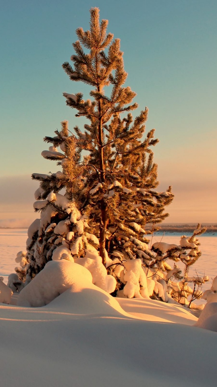 Person, Die Tagsüber Auf Einem Schwarzen ATV Auf Einem Schneebedeckten Feld Fährt. Wallpaper in 720x1280 Resolution