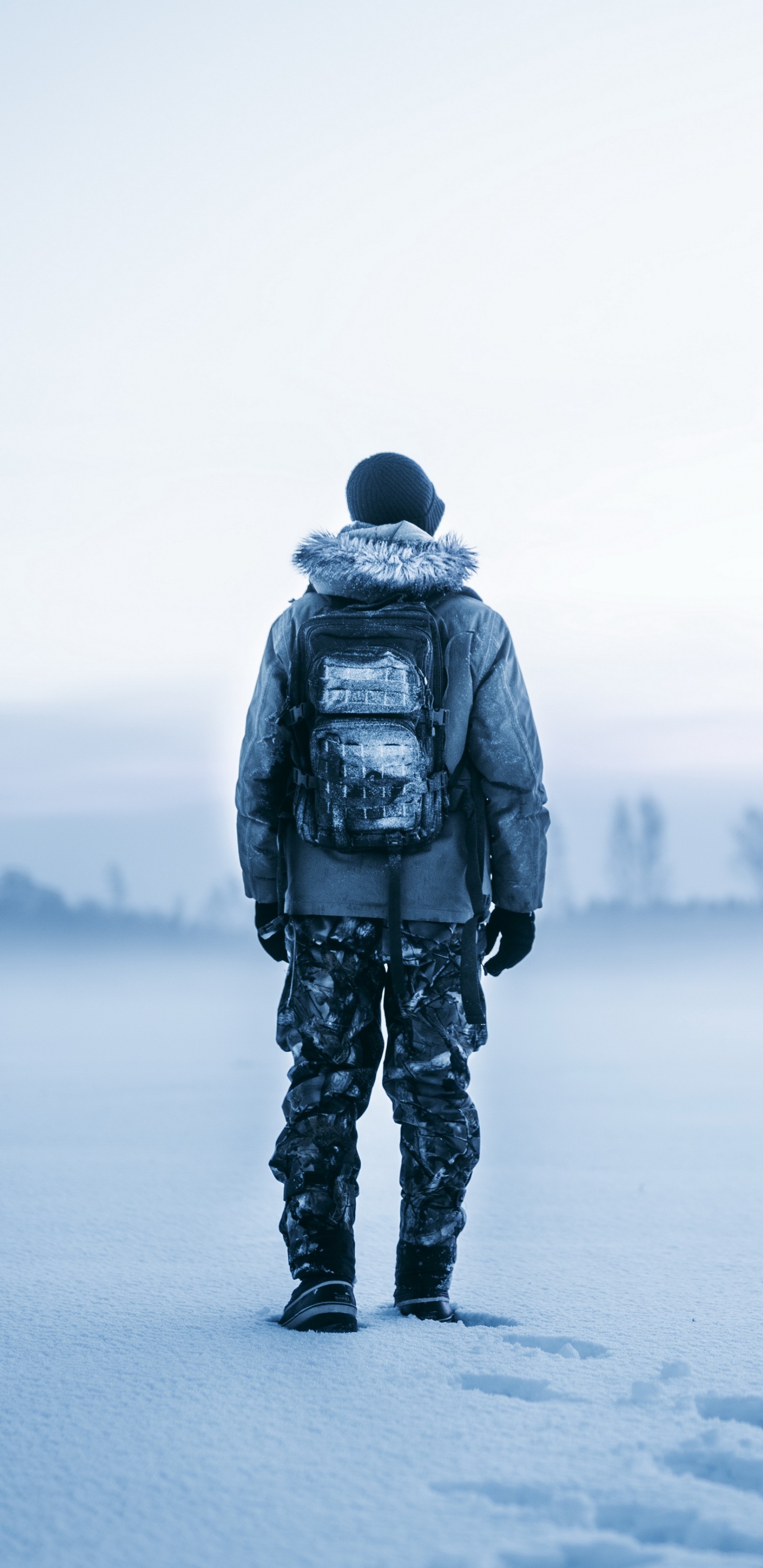 Winter, Arctic, Protective, Snow, Ice. Wallpaper in 1440x2960 Resolution