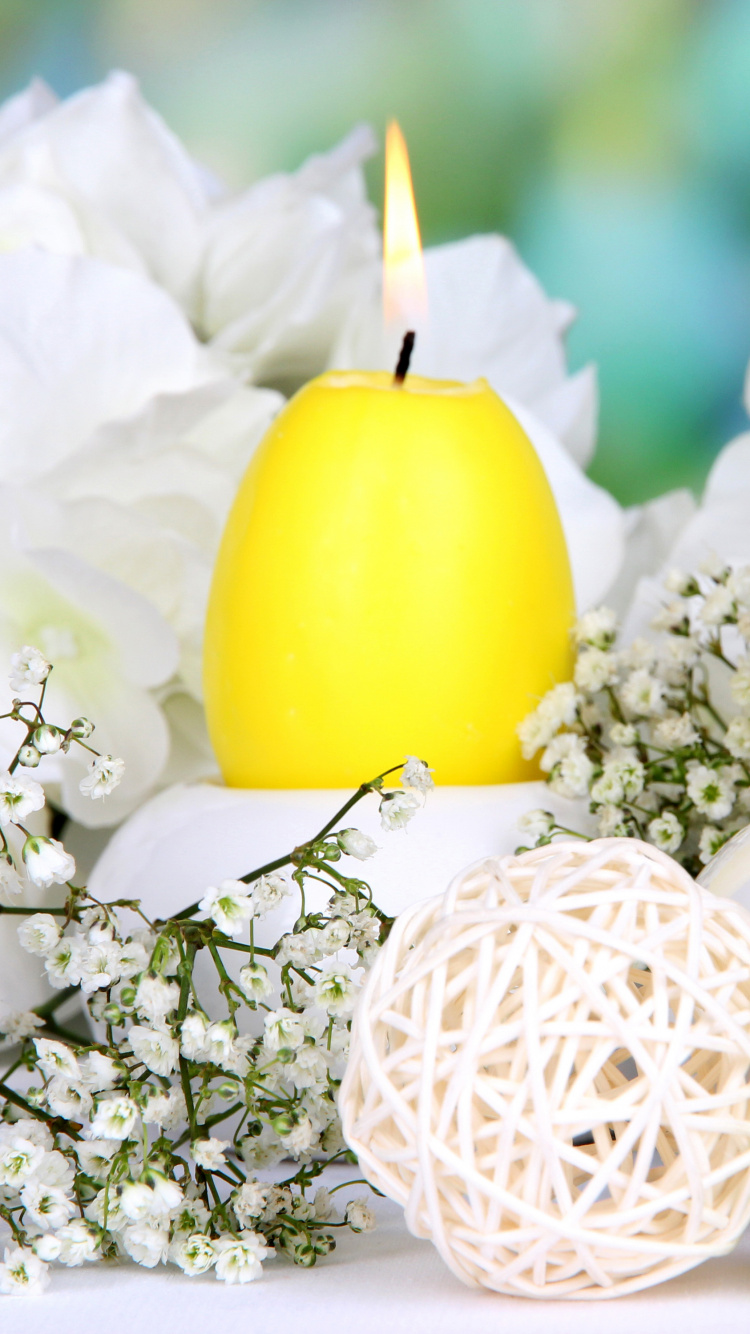 Easter Egg, Yellow, Easter, Egg, Flower. Wallpaper in 750x1334 Resolution