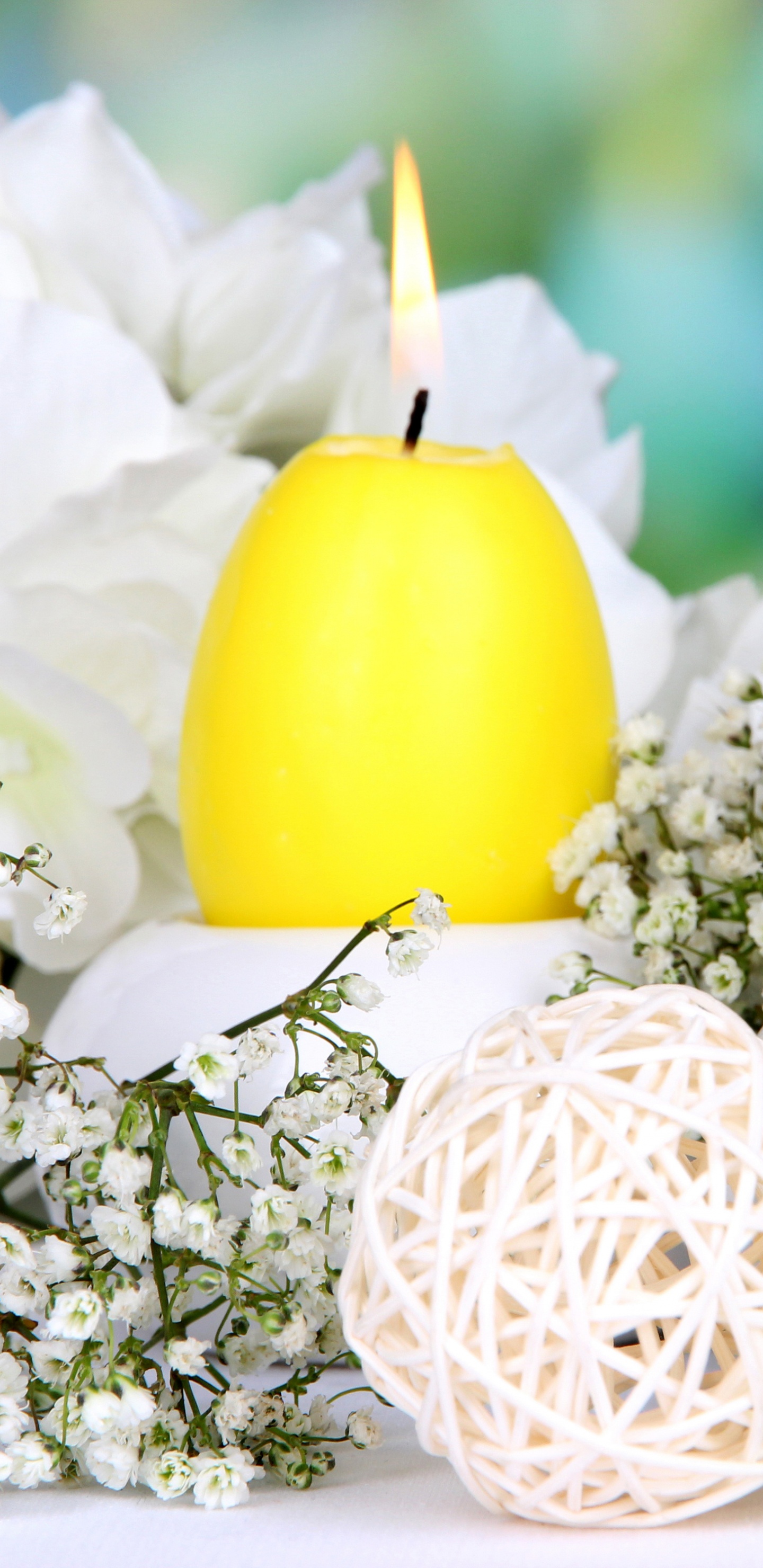 Oeuf de Pâques, Jaune, Pâques, Oeuf, L'arrangement Des Fleurs. Wallpaper in 1440x2960 Resolution