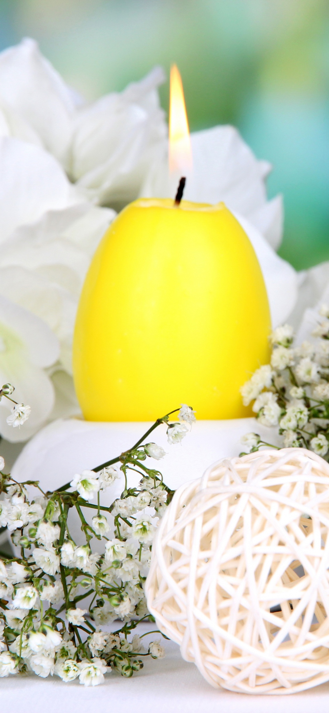 Huevo de Pascua, Amarillo, Pascua, Huevo, Arreglos Florales. Wallpaper in 1125x2436 Resolution